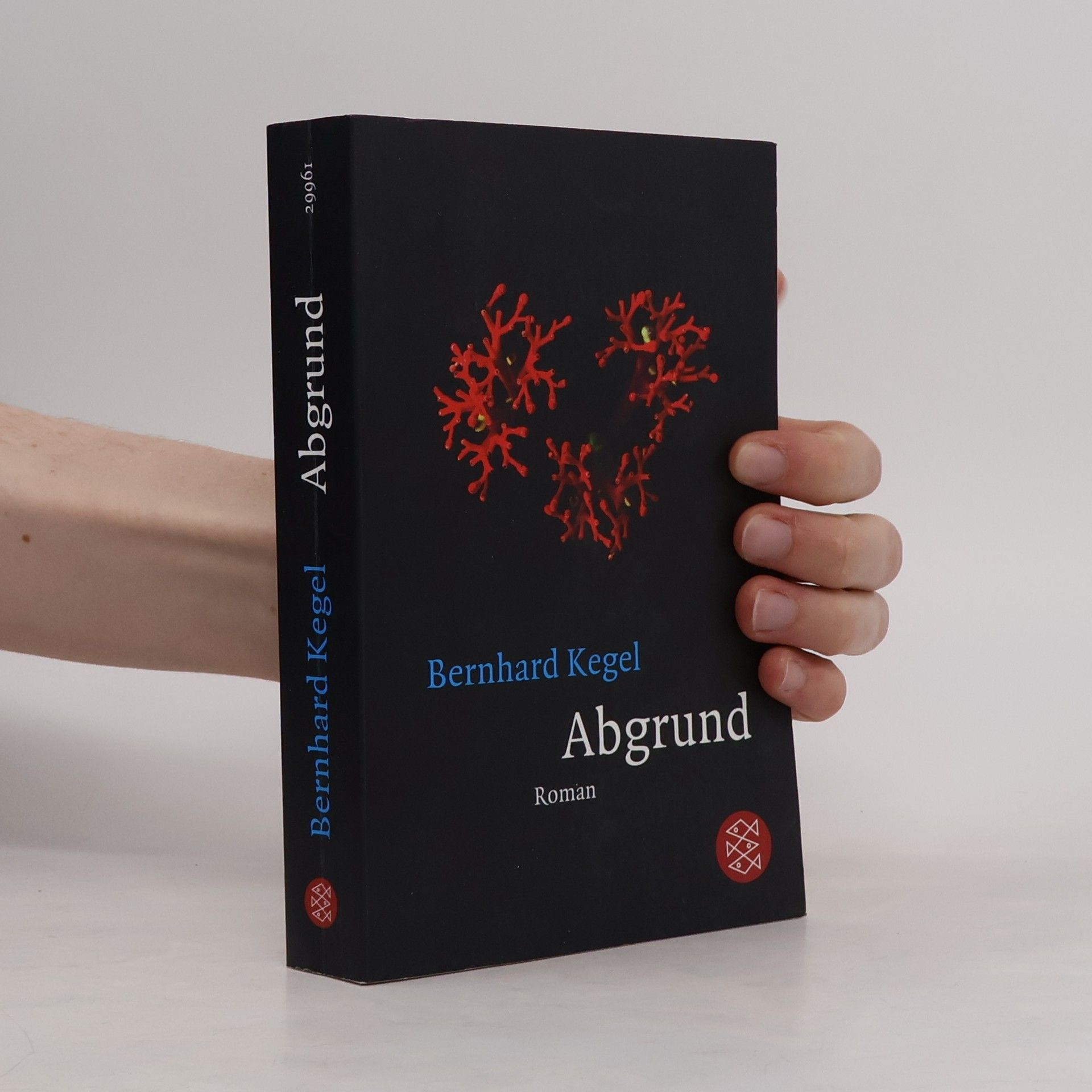 Bernhard Kegel Abgrund
