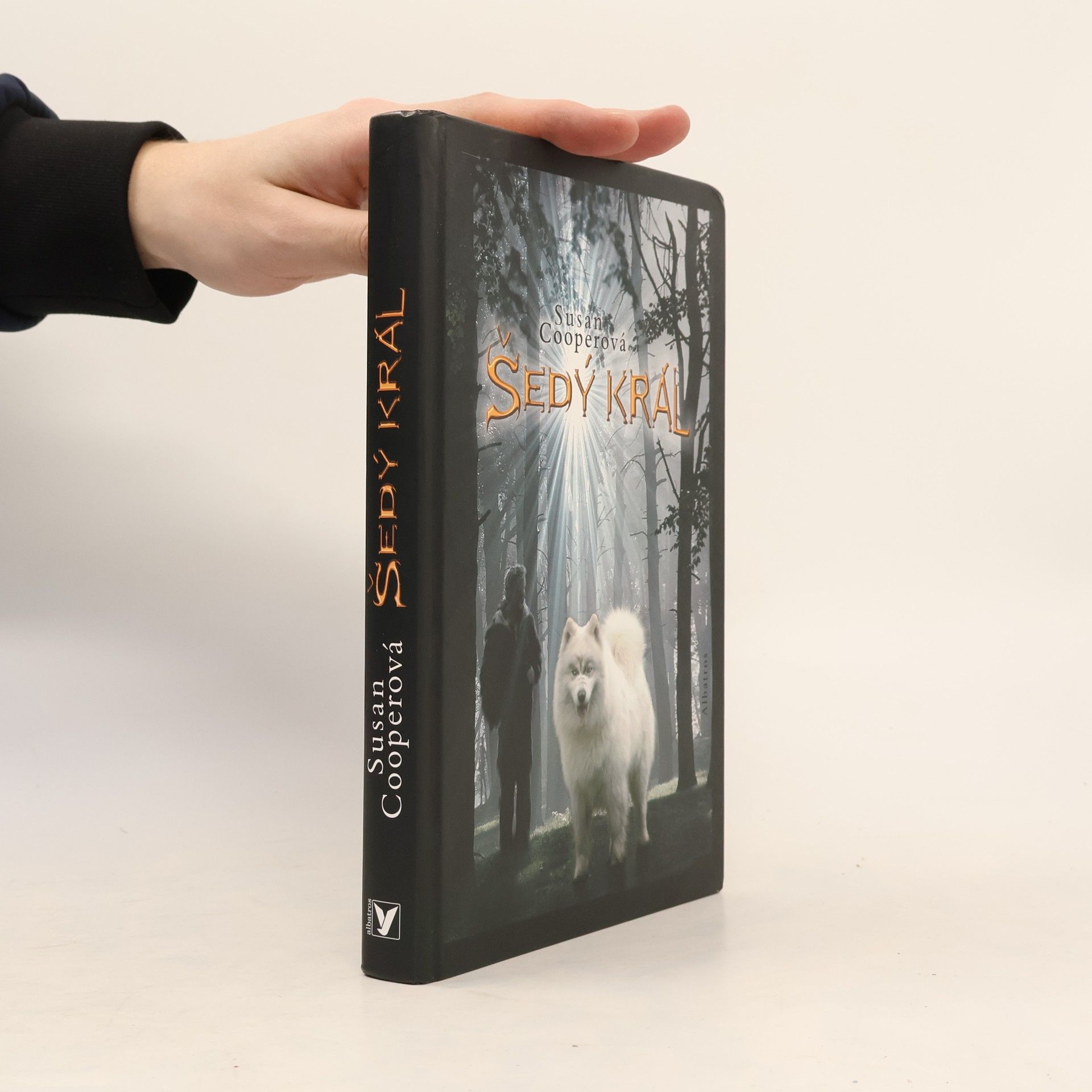 Susan Cooper Šedý král. Probuzení Tmy. Díl 3.