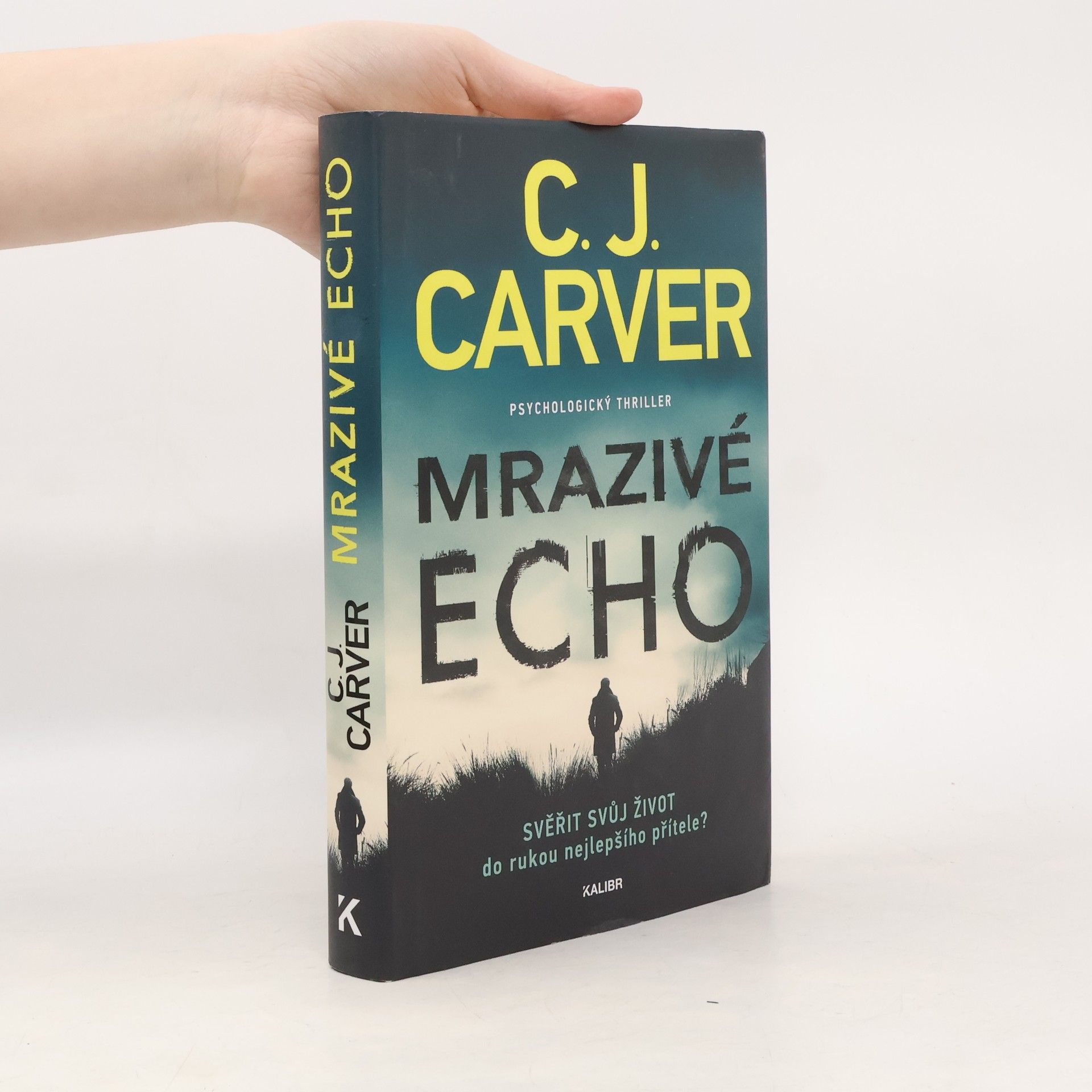 CJ Carver Mrazivé echo