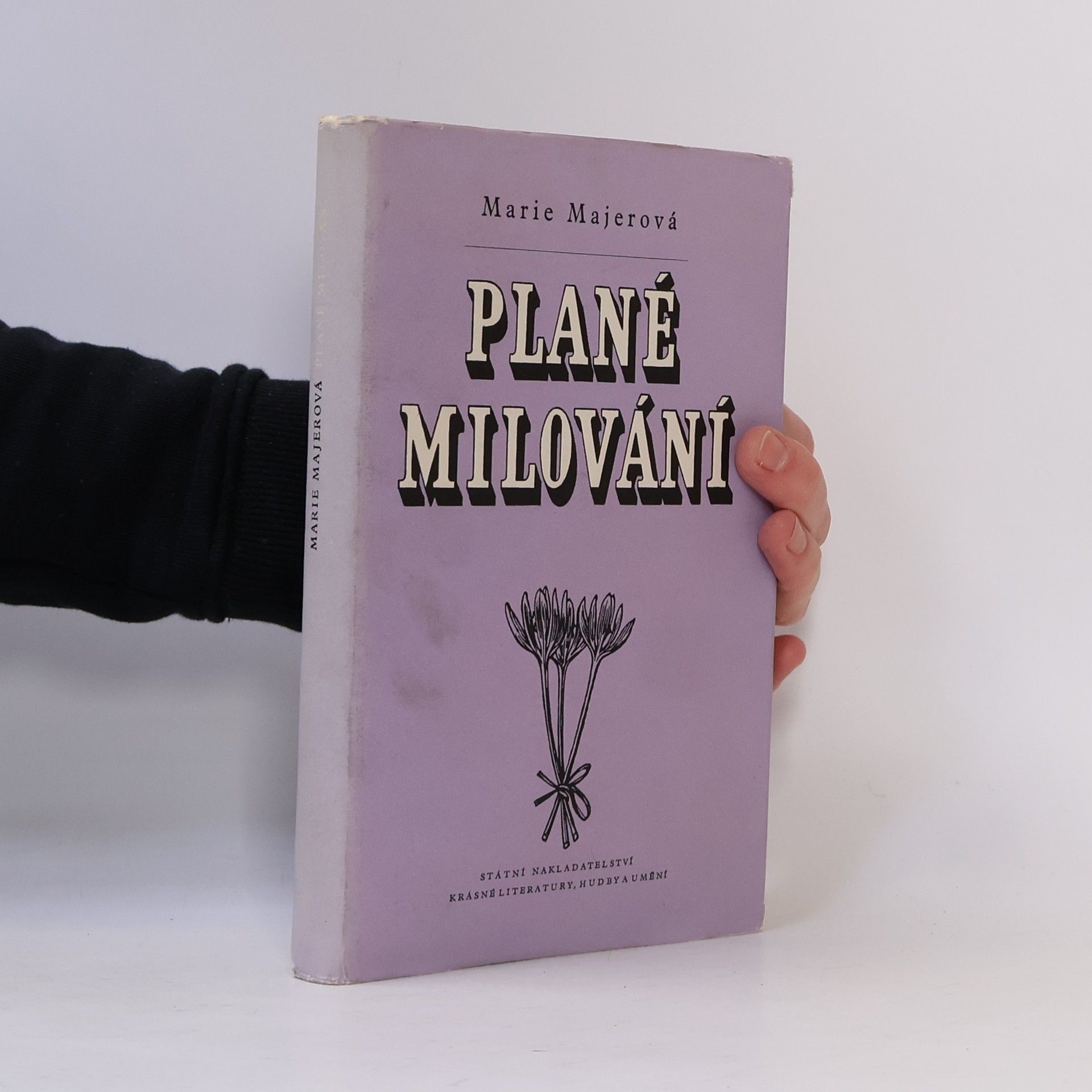 Plané milování