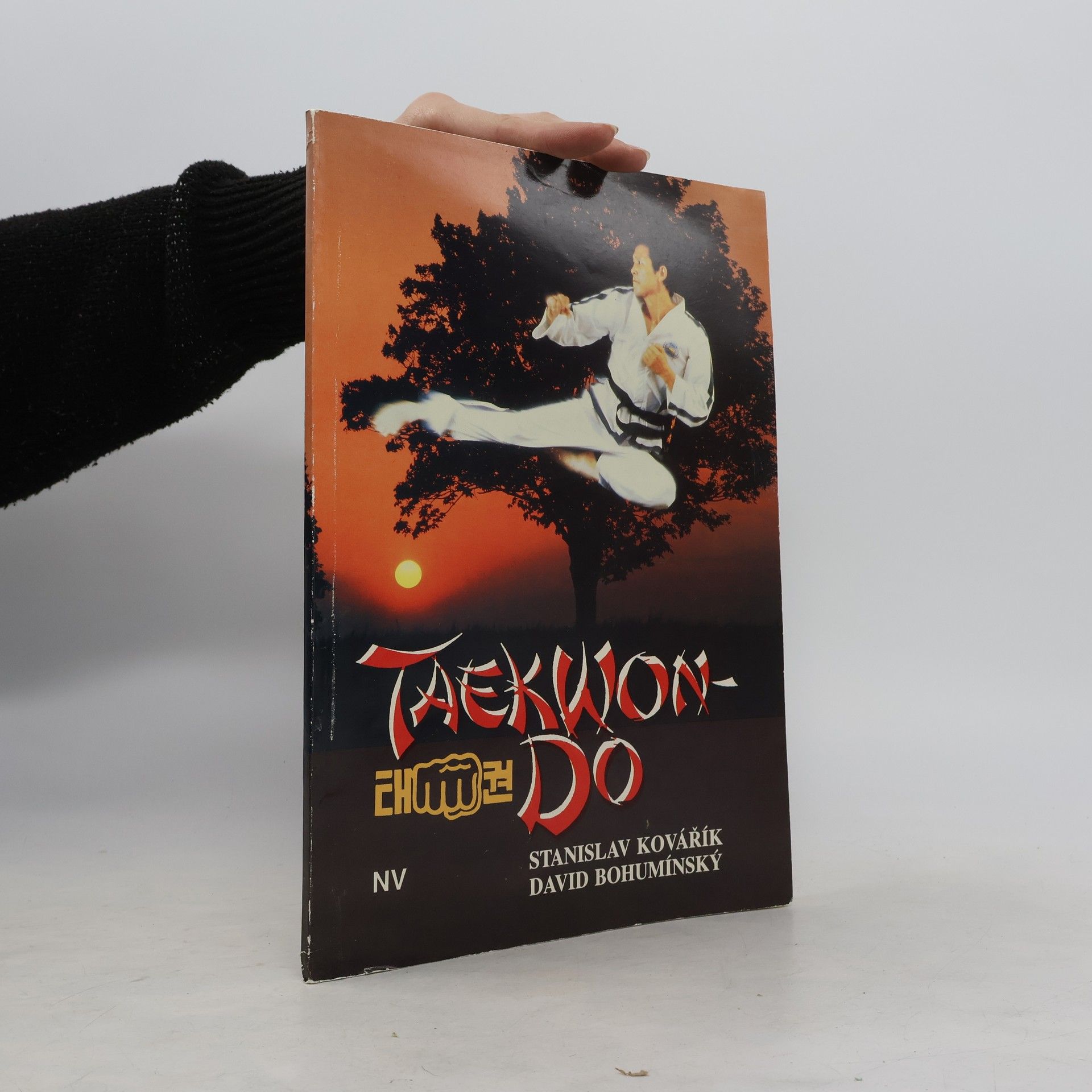 David Bohumínský Taekwon-do