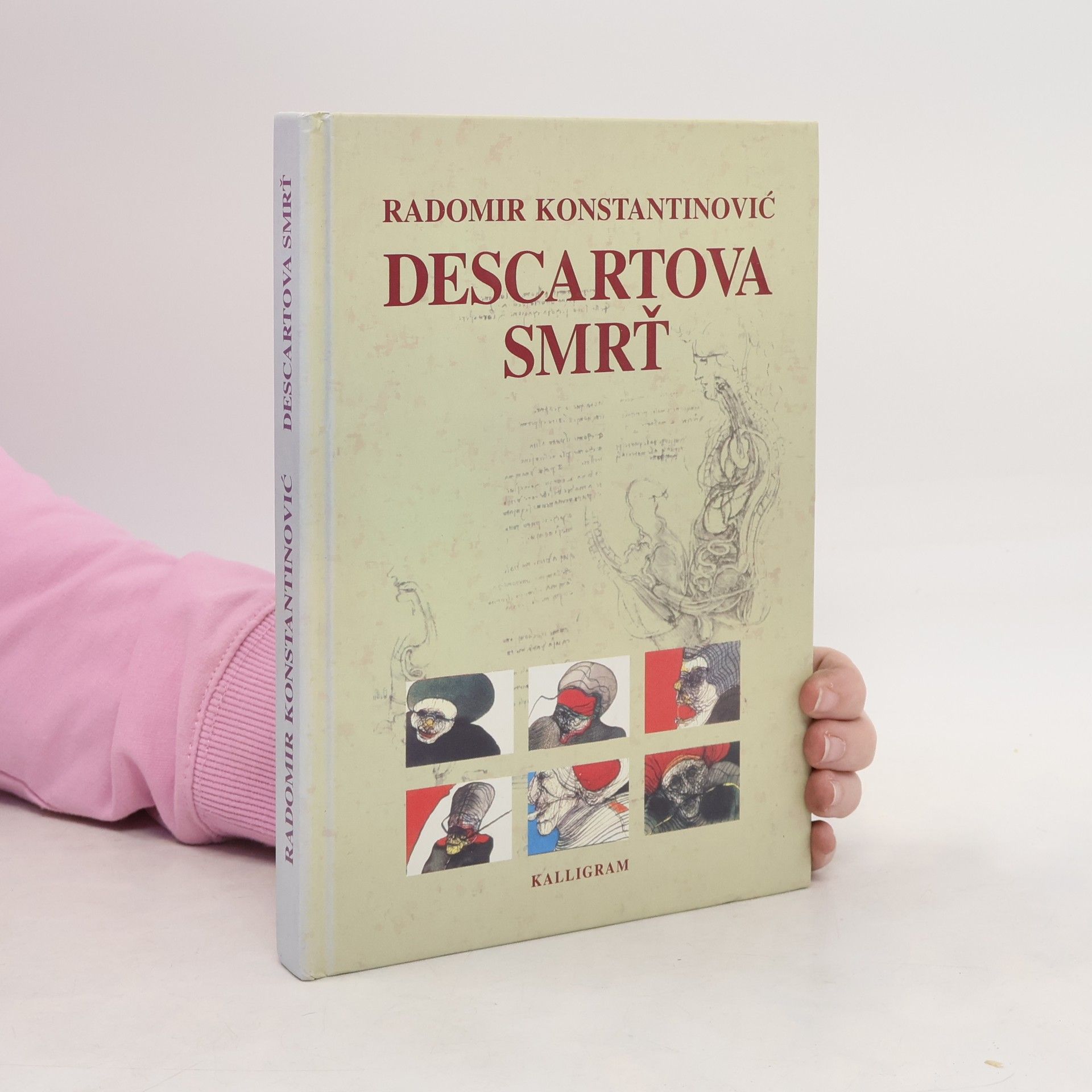 Radomir Konstantinović Descartova smrť