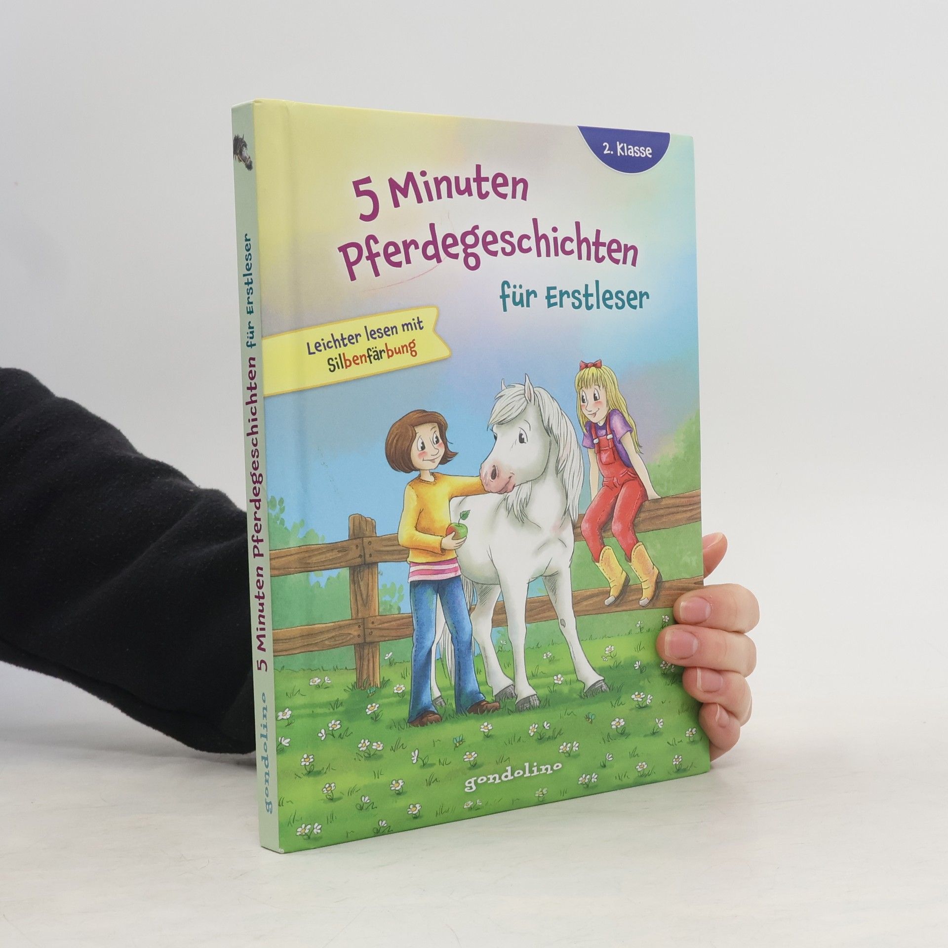 Autorenkollektiv 5 Minuten Pferdegeschichten für Erstleser, 2. Klasse - Leichter lesen mit Silbenfärbung