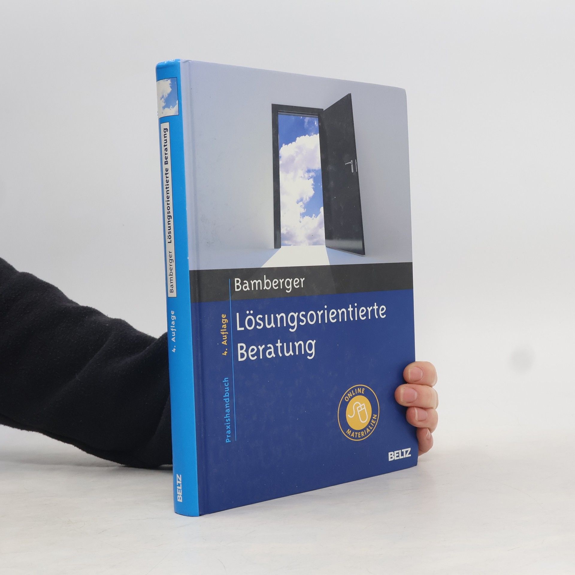 Lösungsorientierte Beratung