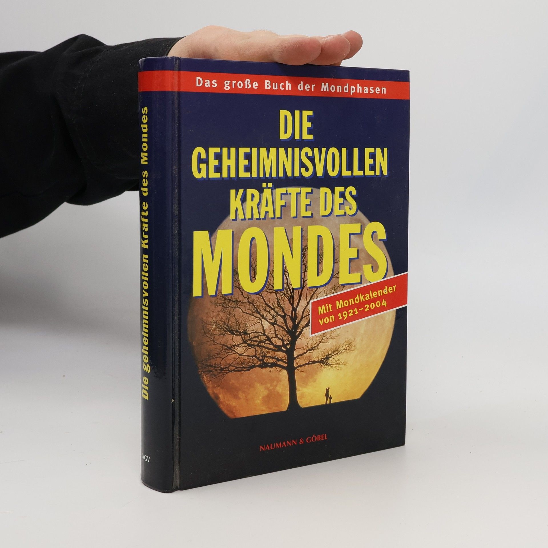 Regine Manthey-Soolbach Die geheimnisvollen Kräfte des Mondes