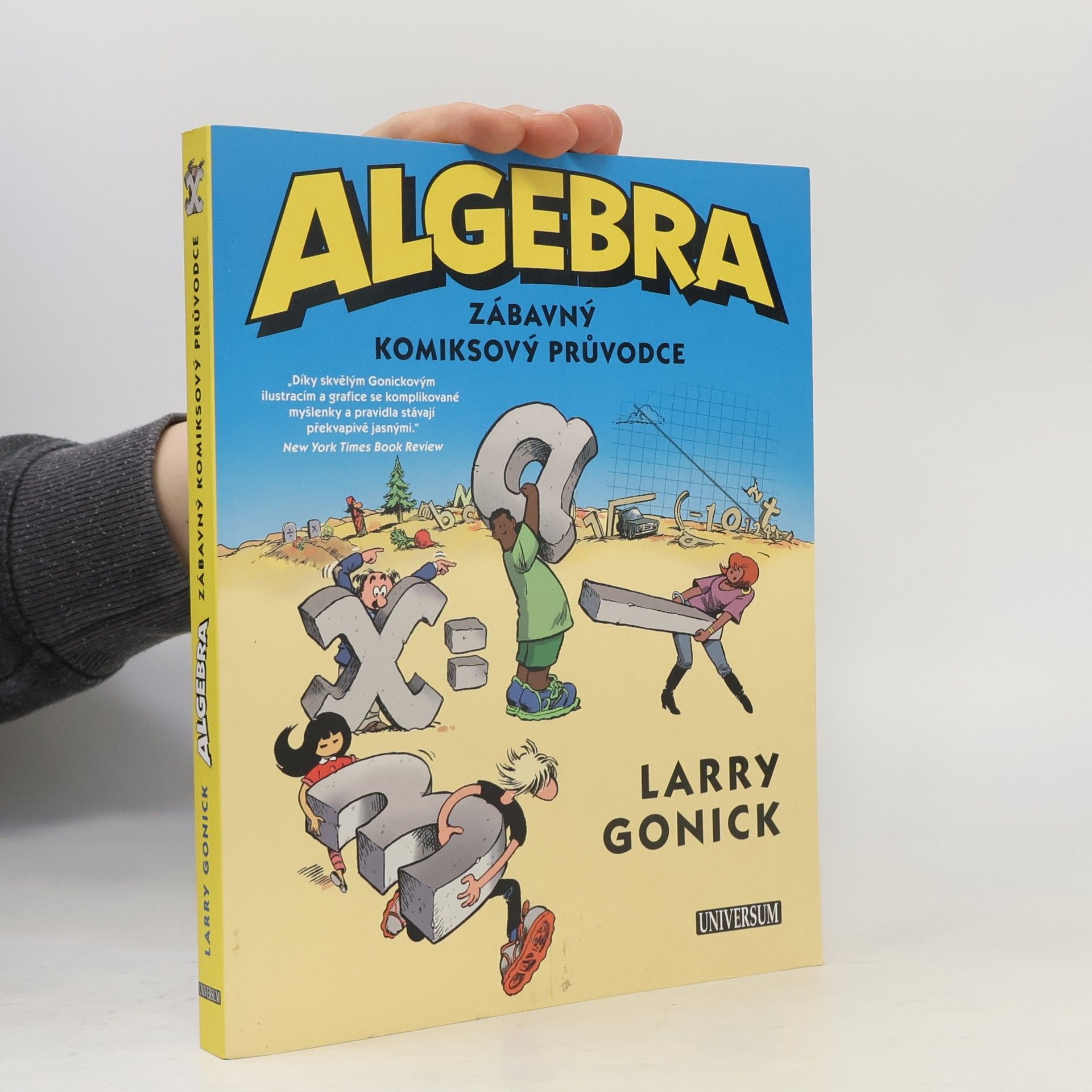 Larry Gonick Algebra. Zábavný komiksový průvodce