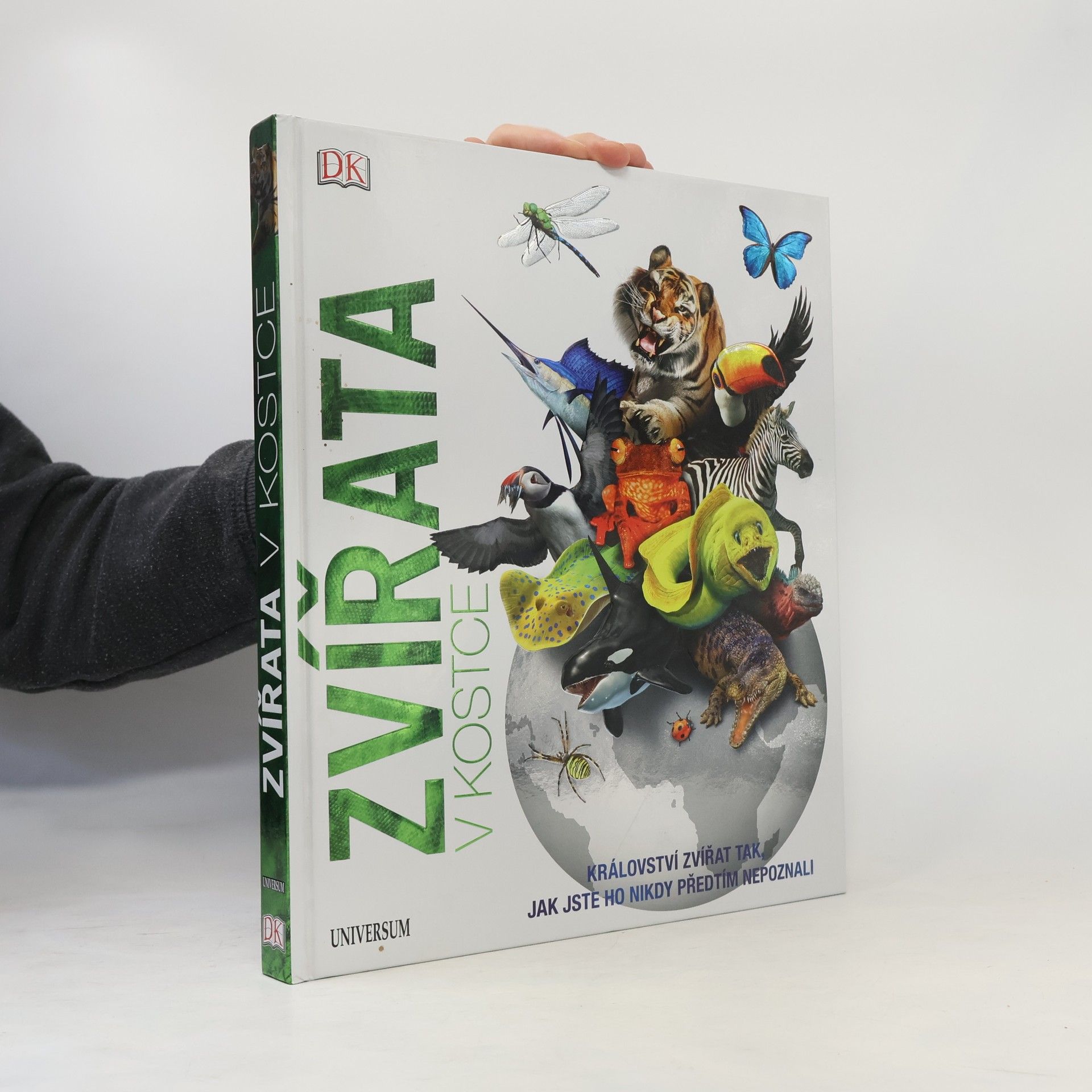 Auteurscollectief Zvířata v kostce