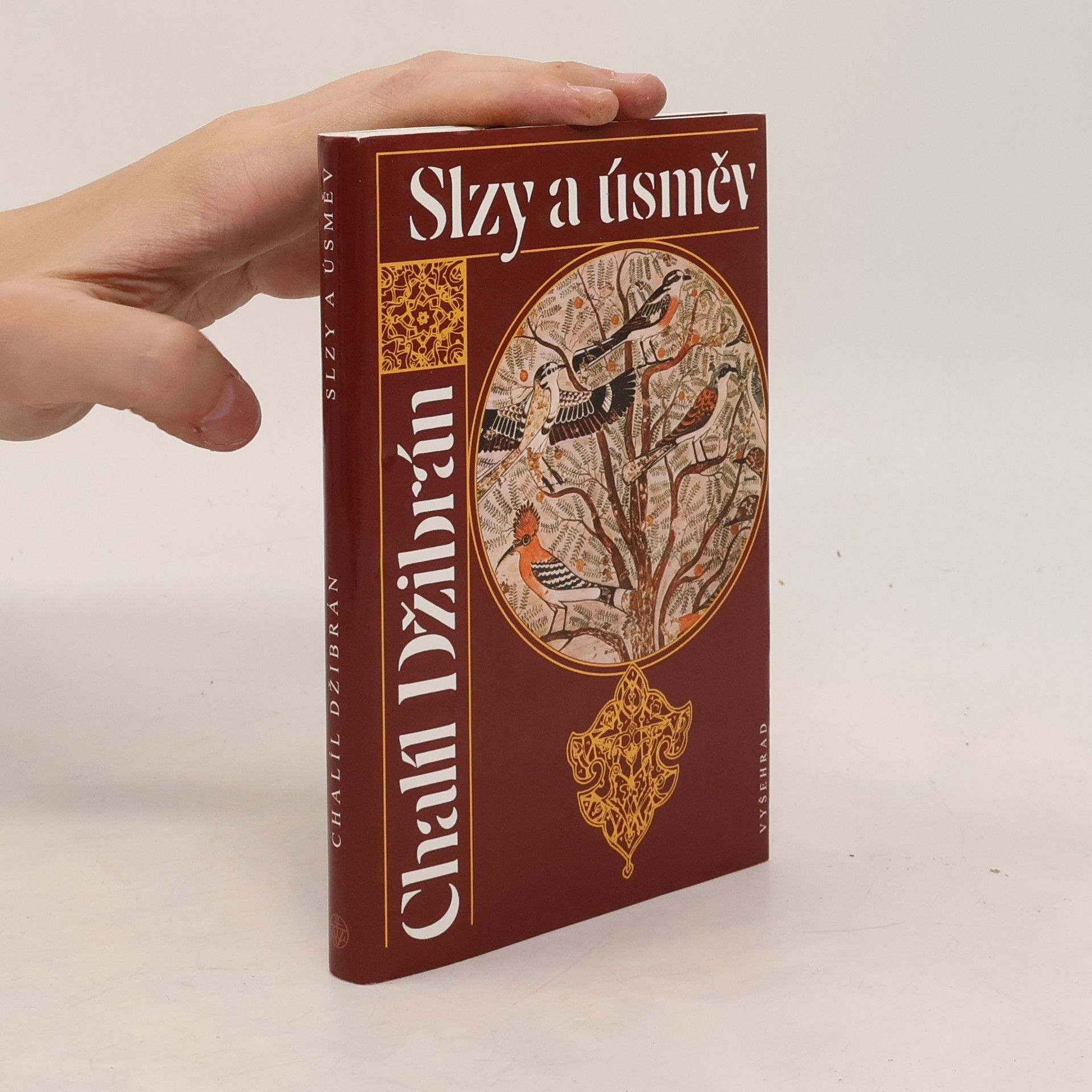 Vlasta Hesounová Slzy a úsměv