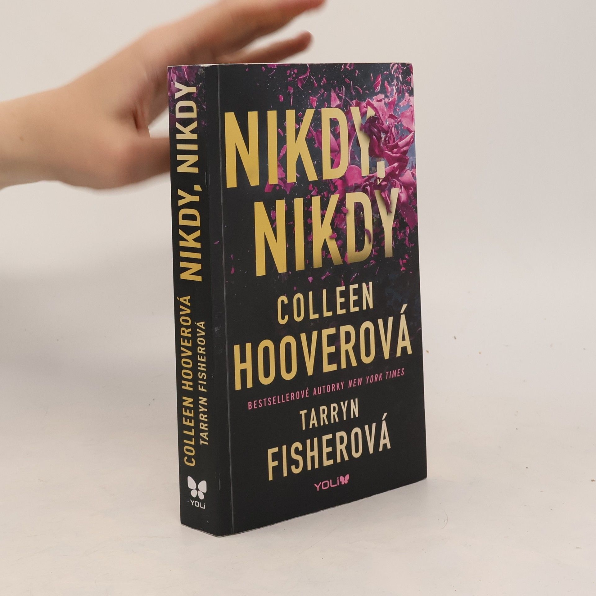 Colleen Hoover Nikdy, nikdy