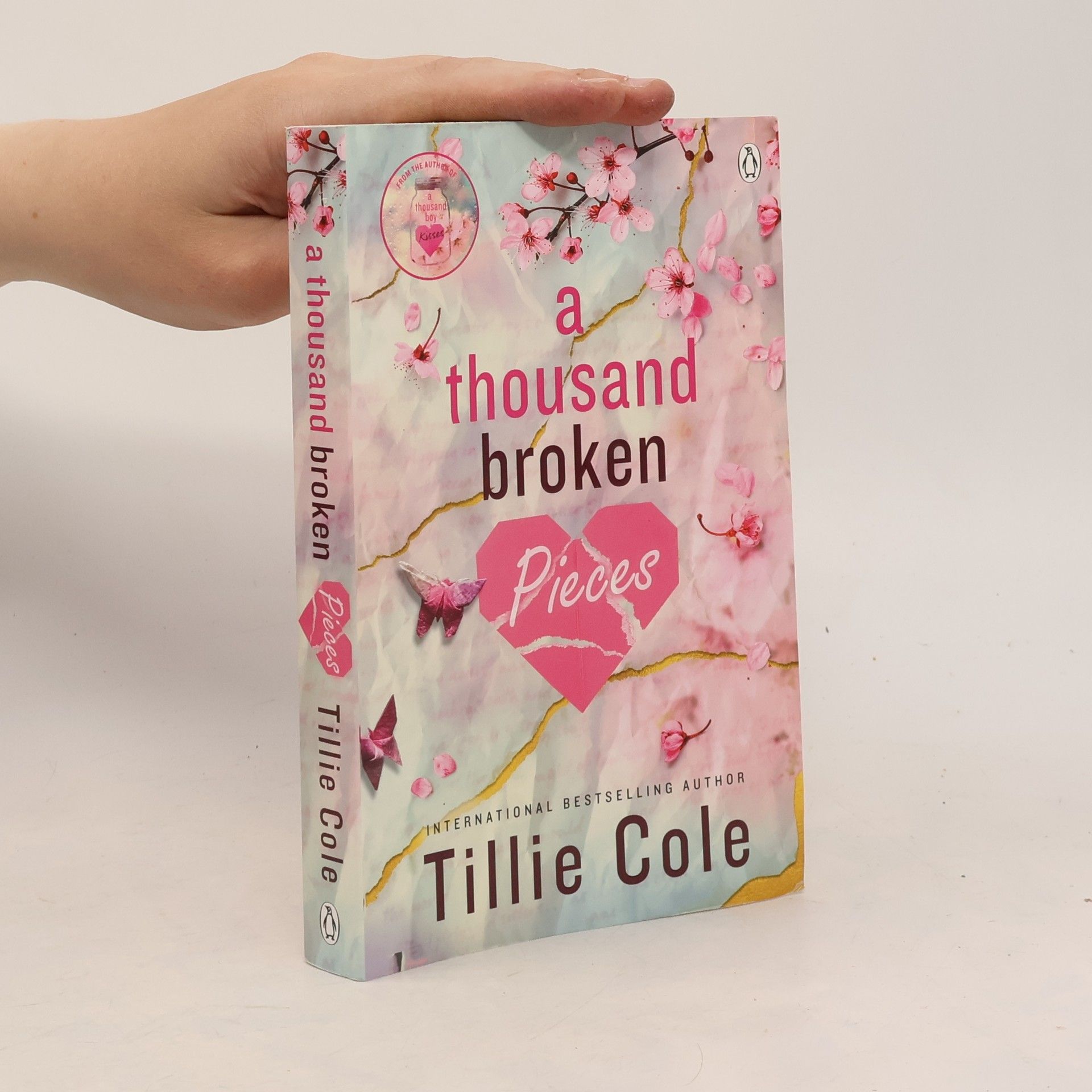 Tillie Cole A Thousand Broken Pieces