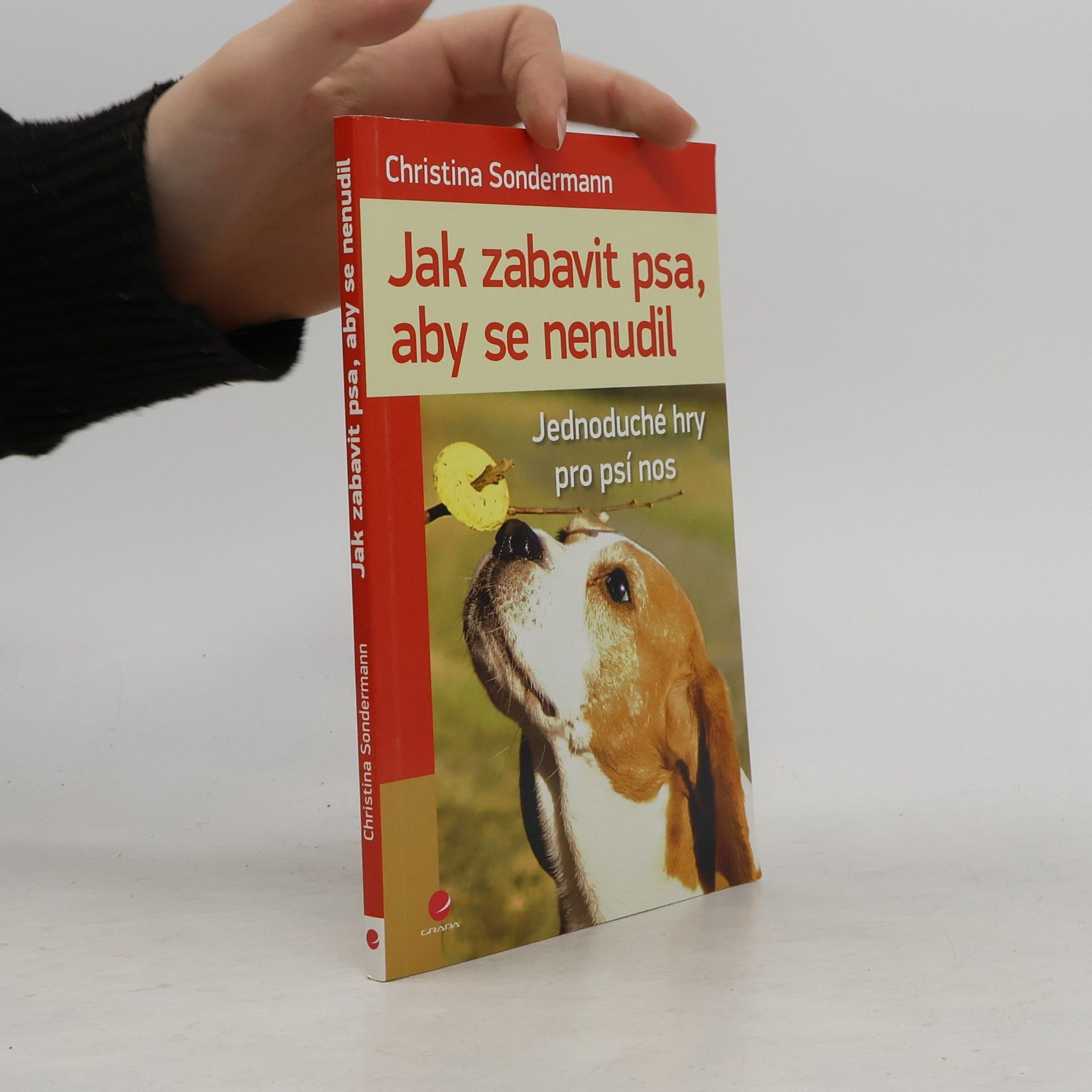 Christina Sondermann Jak zabavit psa, aby se nenudil : jednoduché hry pro psí nos