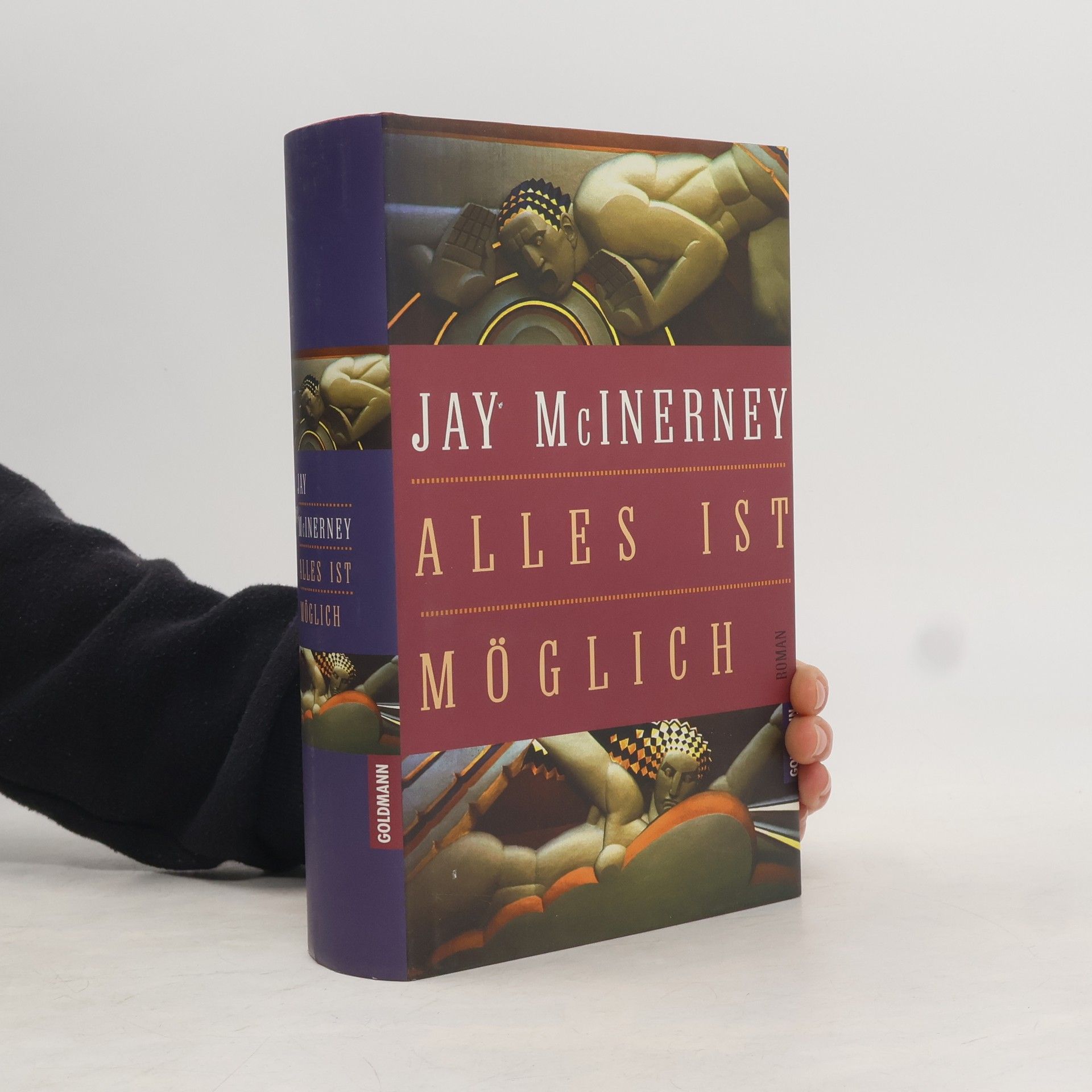 Jay McInerney Alles ist möglich