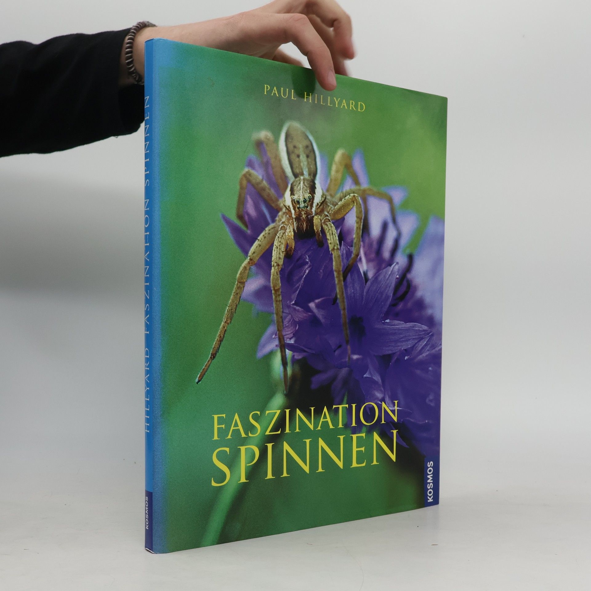 Faszination Spinnen