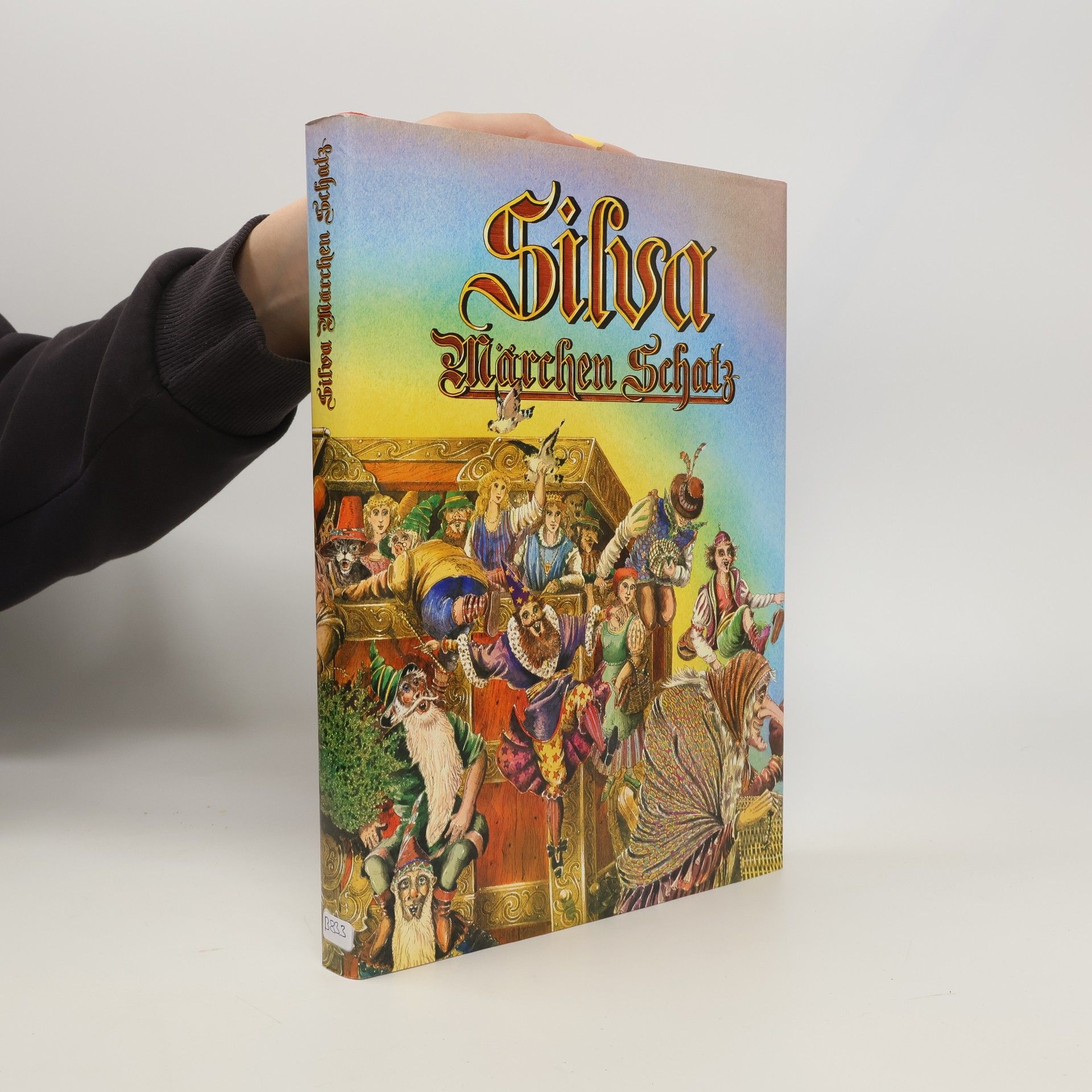 Auteurscollectief Silva Märchen Schatz