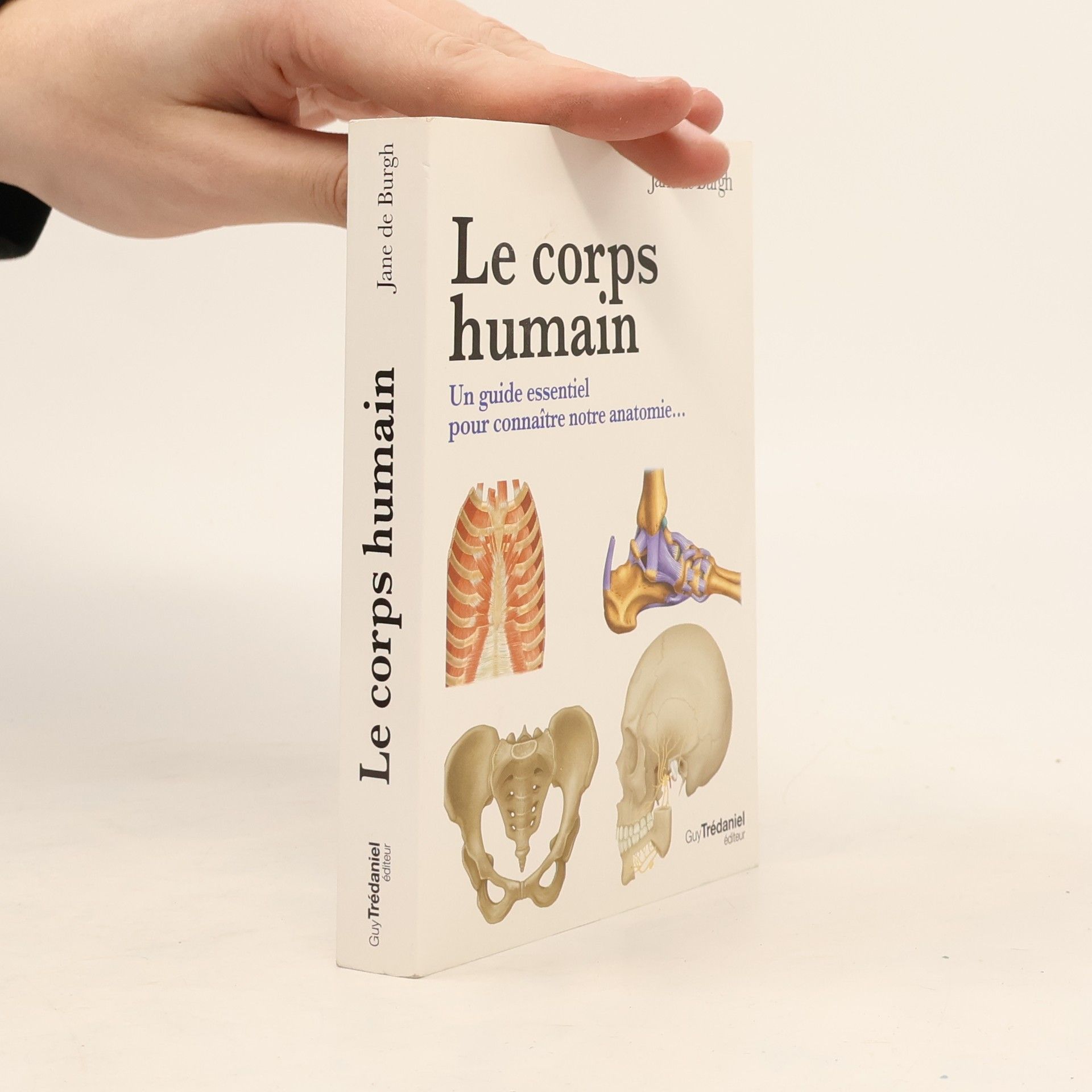 Jane De Burgh Le corps humain: Le guide visuel pour comprendre notre anatomie