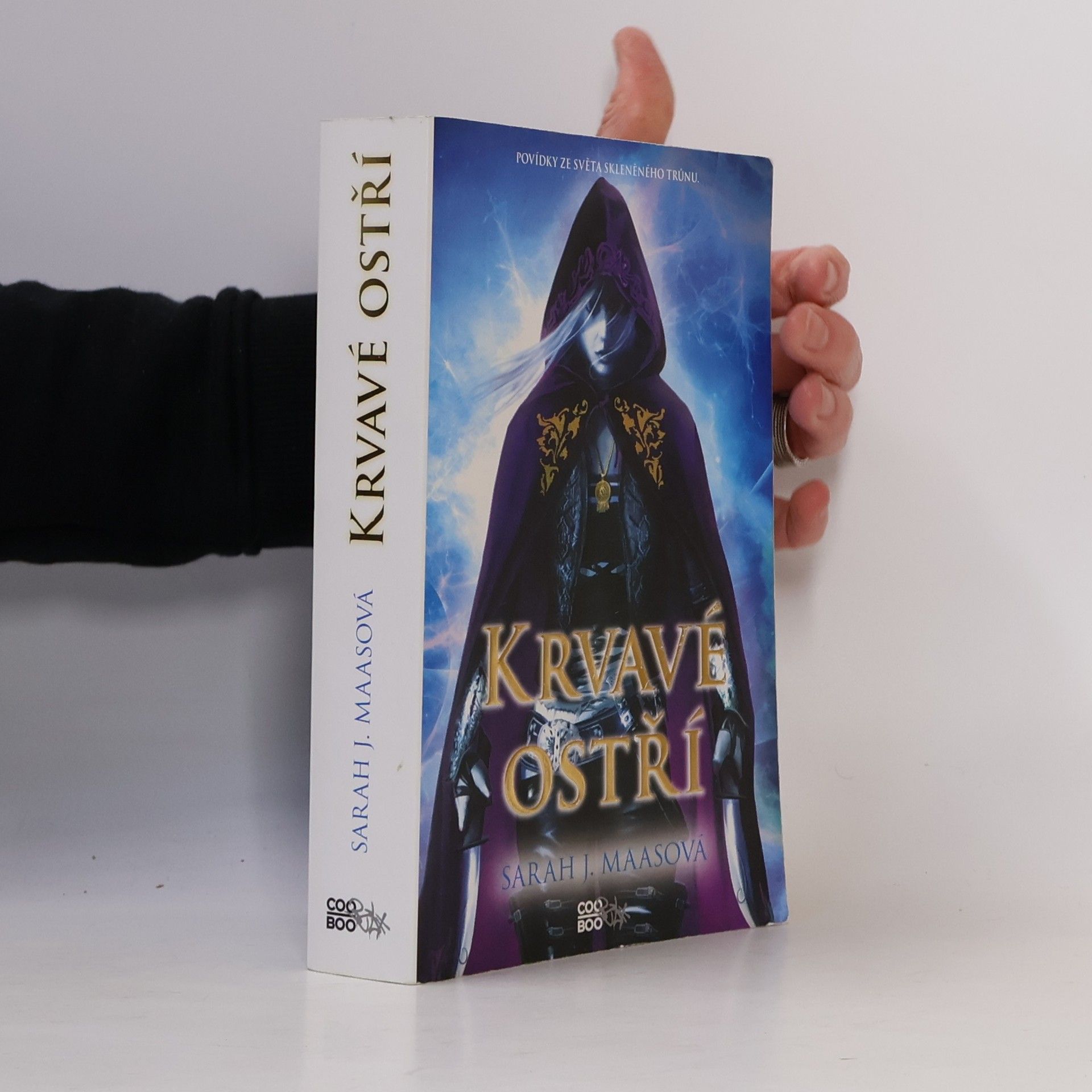 Sarah J. Maas Krvavé ostří
