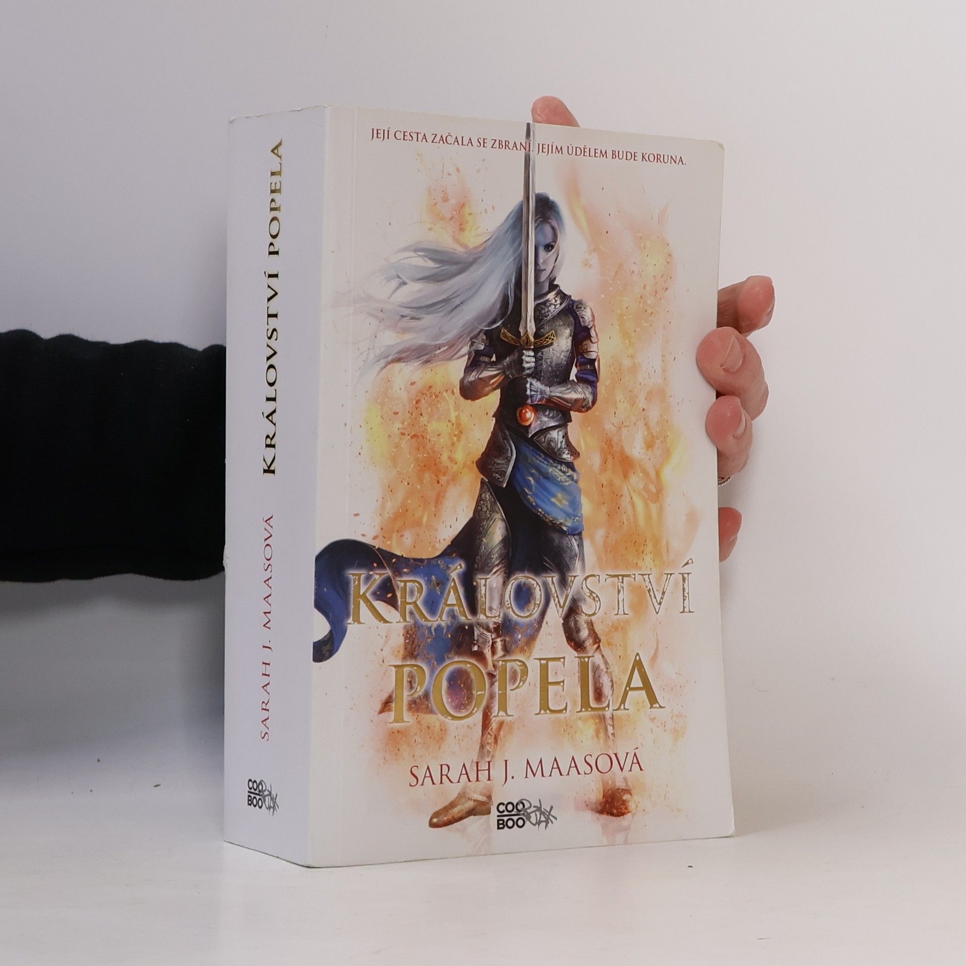 Sarah J. Maas Království popela