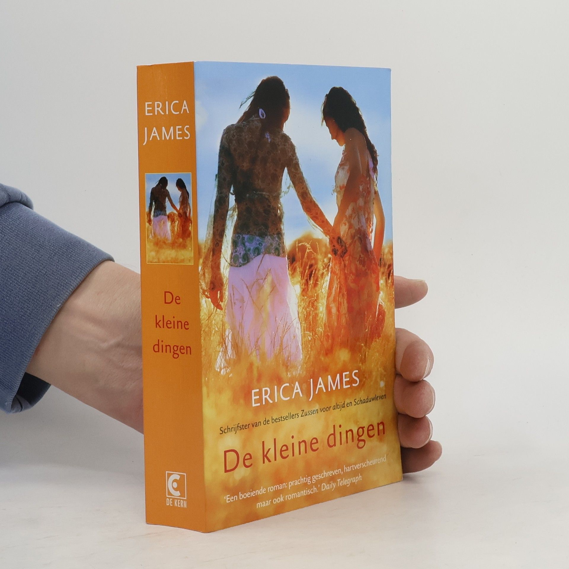 Erica James De kleine dingen