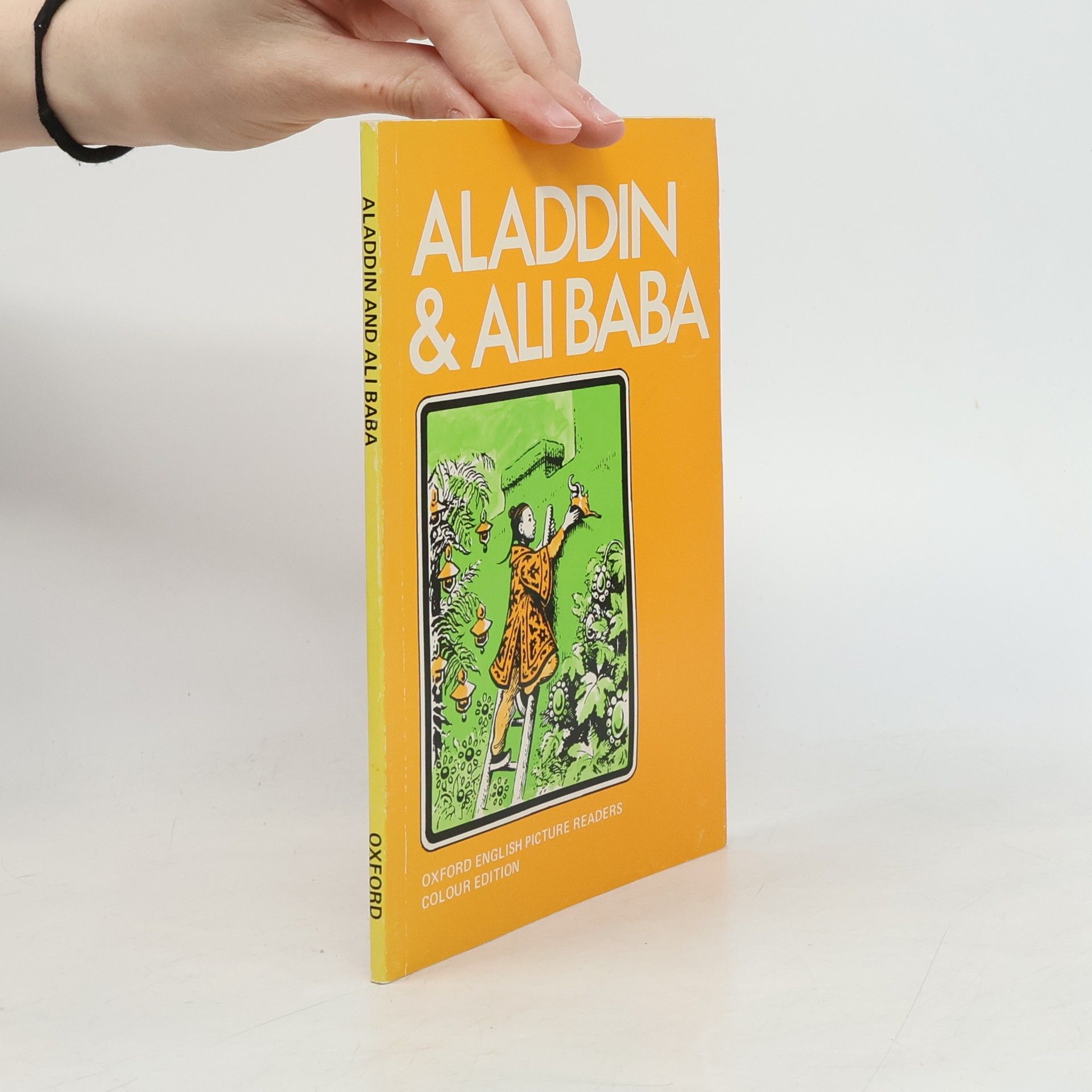 Kolektiv autorů Aladdin and Ali Baba