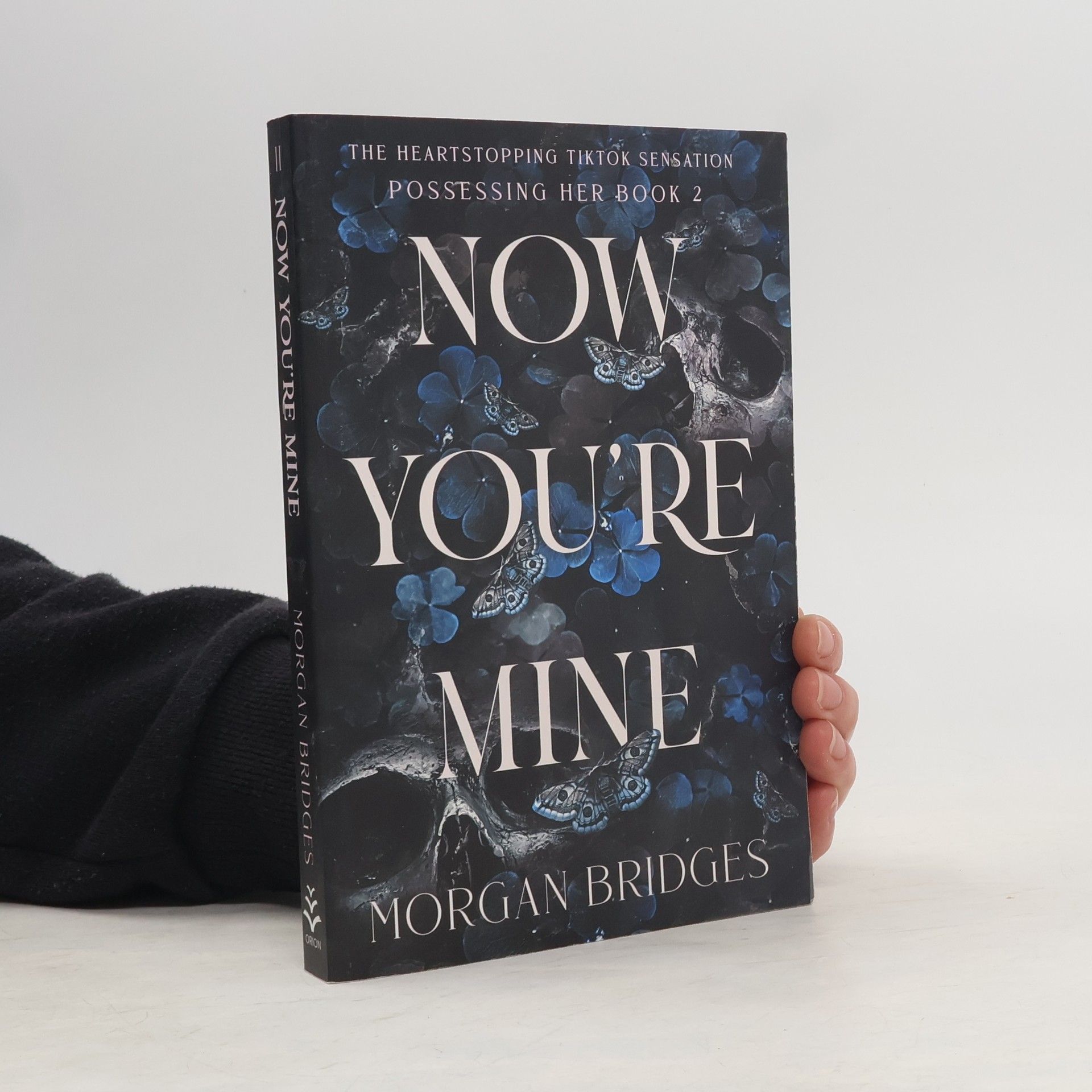 Morgan Bridges Now You're Mine