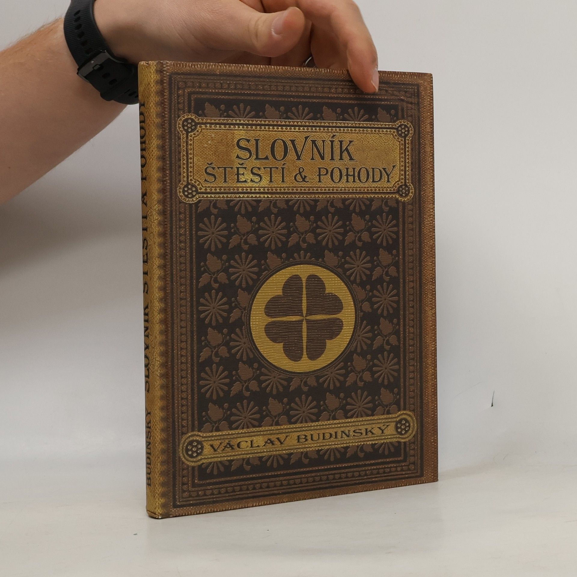 Václav Budinský Slovník štěstí & pohody
