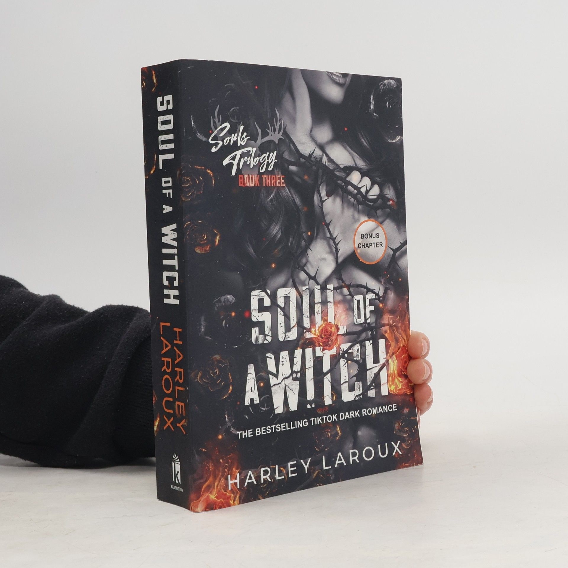 Soul of a Witch: A Spicy Dark Demon Romance