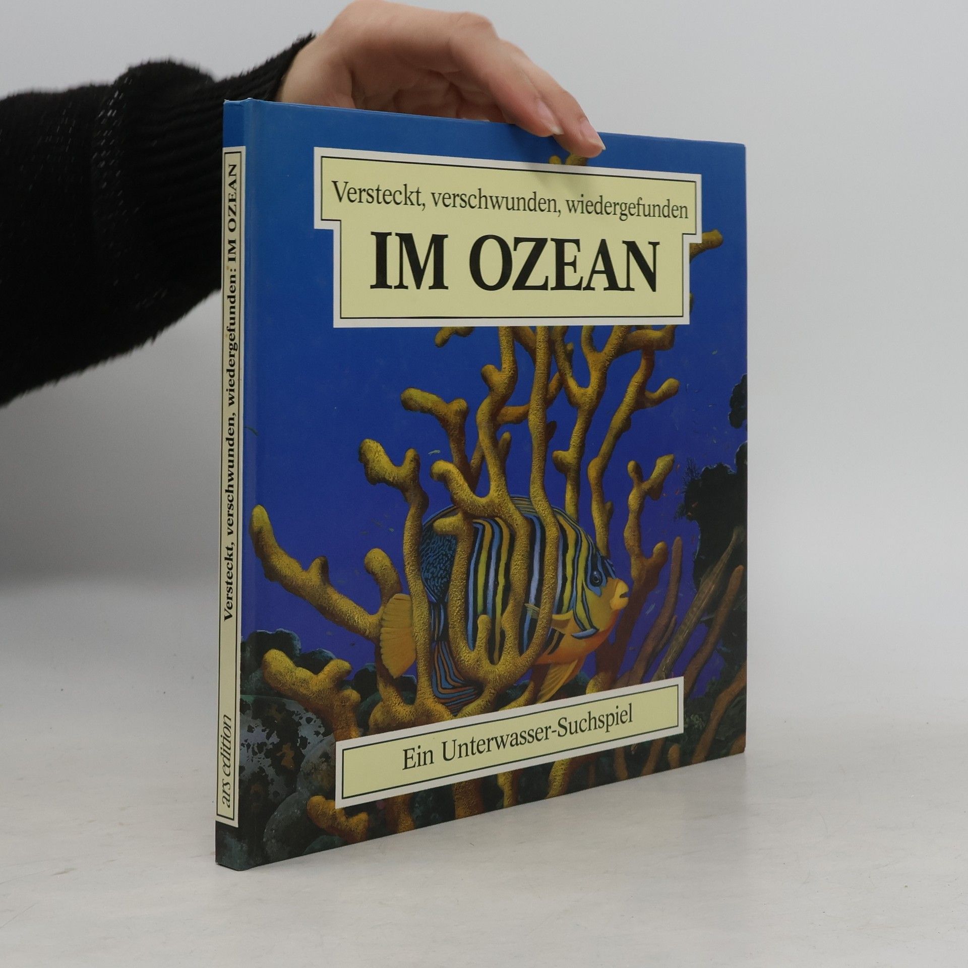Autorenkollektiv Versteckt Verschwunden Wiedergefunden Ozean
