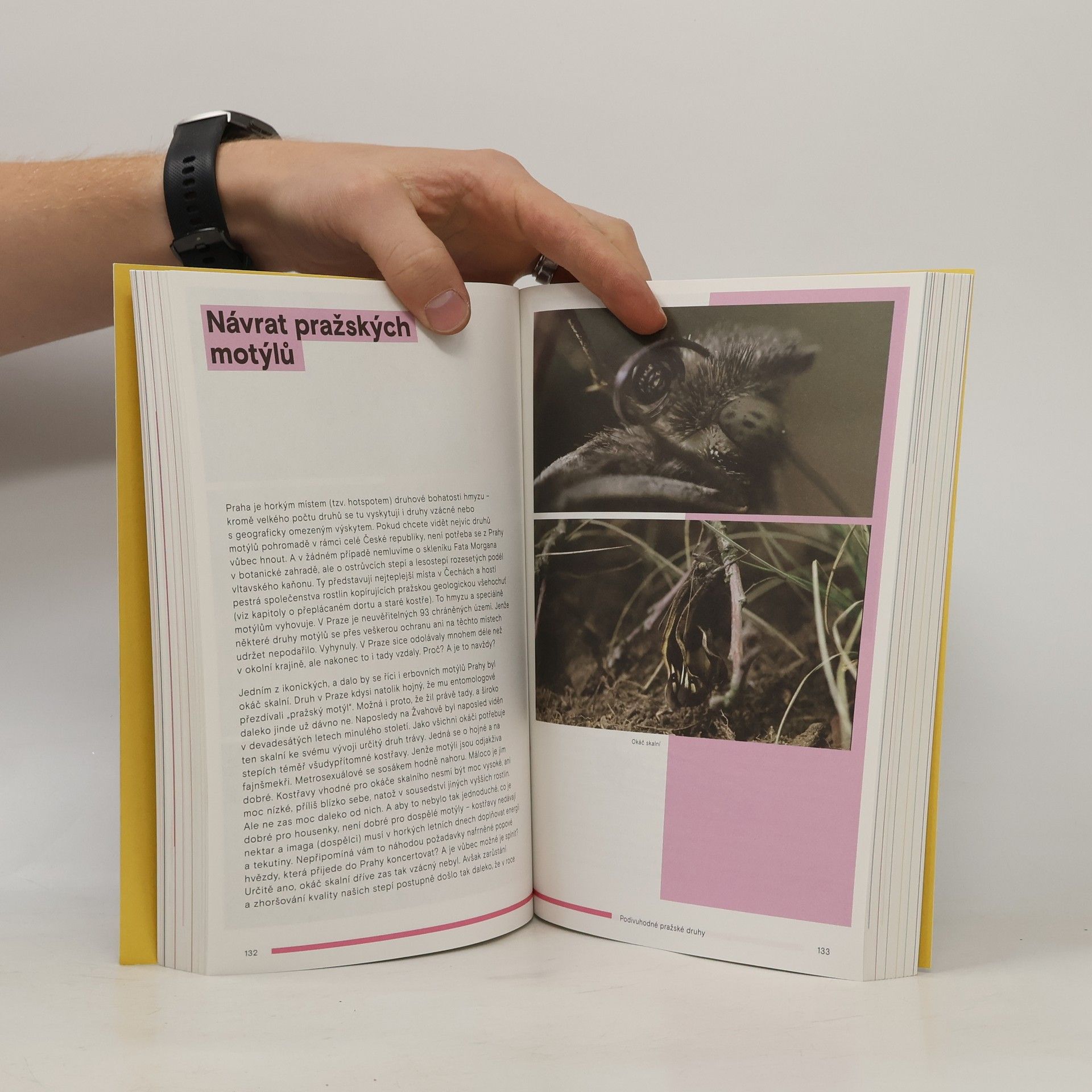 Collectif d'auteurs Planeta Praha