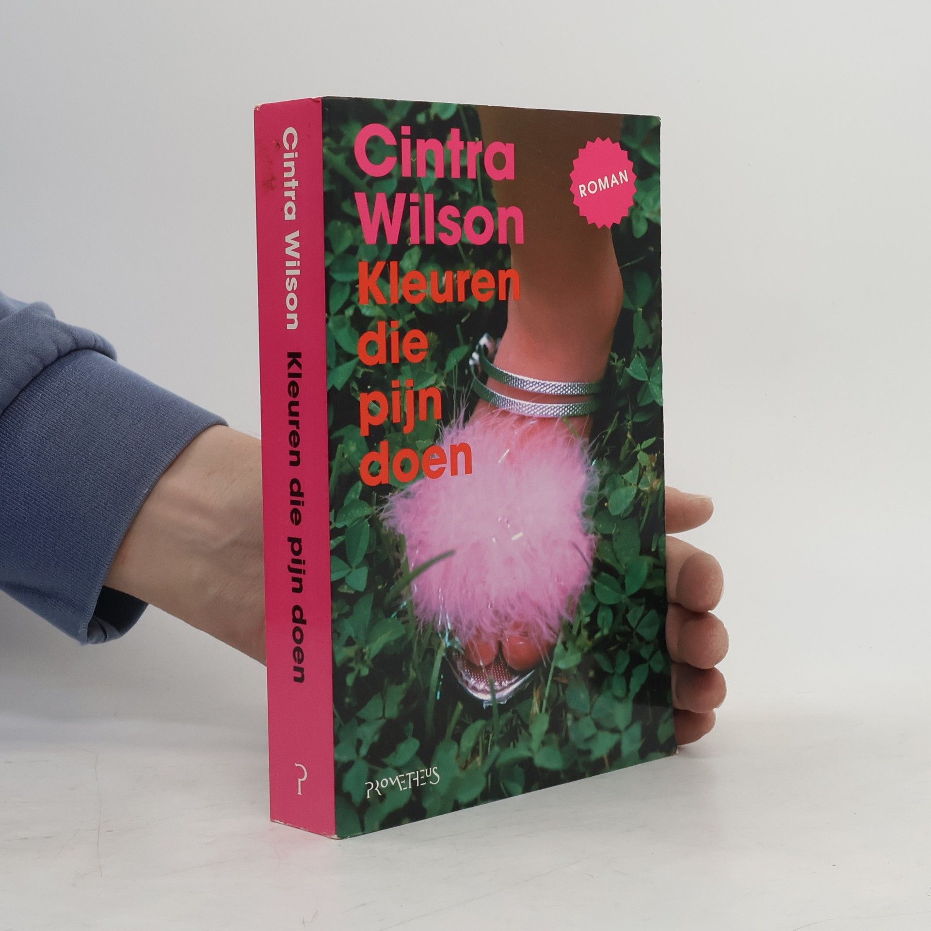 Cintra Wilson Kleuren die pijn doen