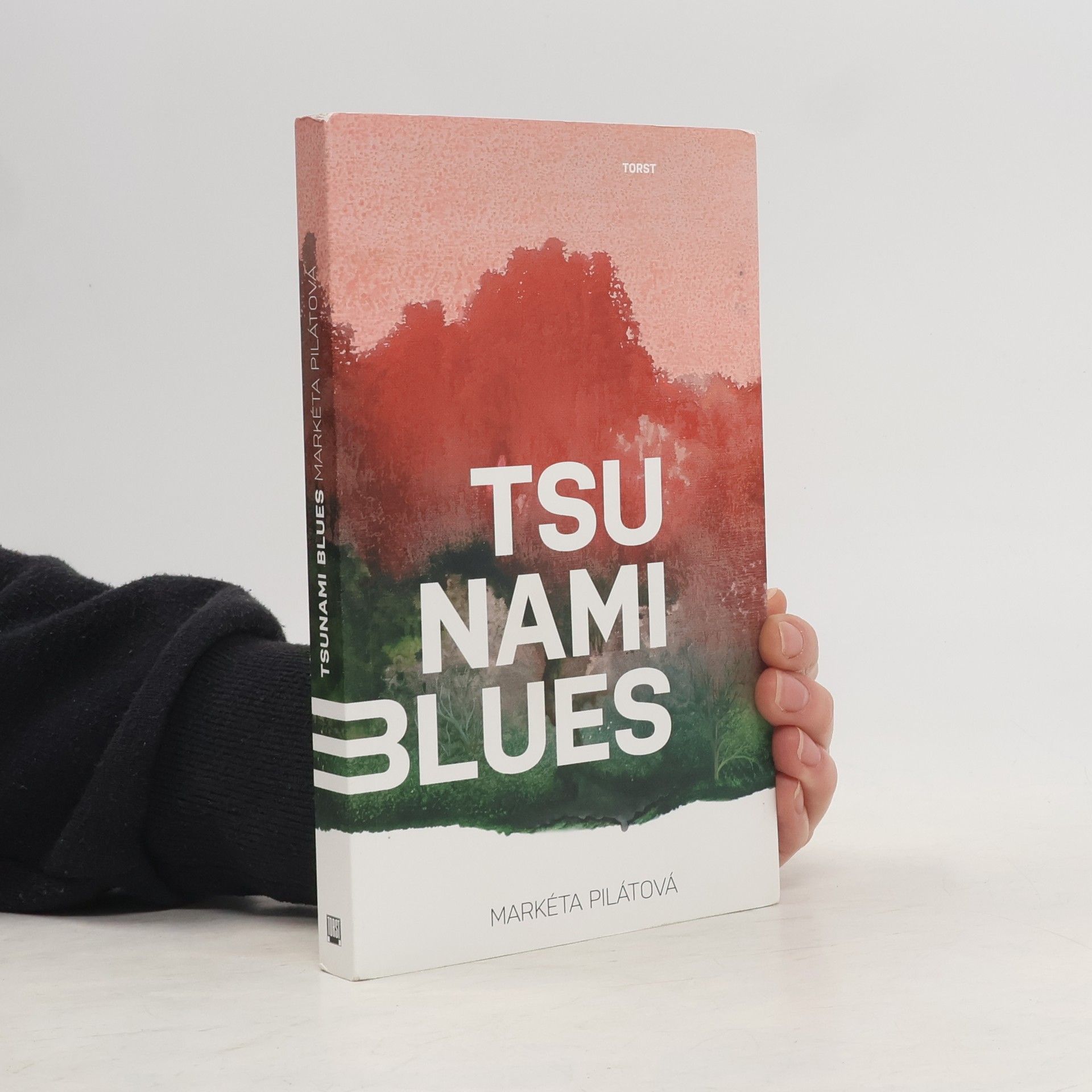 Markéta Pilátová Tsunami blues