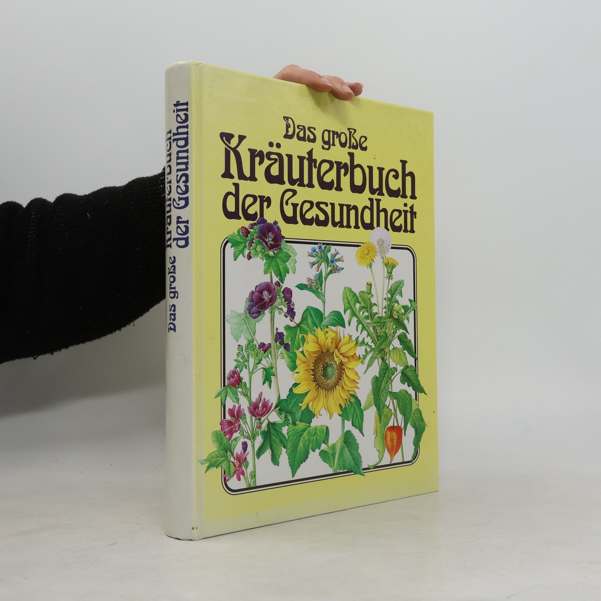 Hermann Lichtenstern Das große Kräuterbuch der Gesundheit