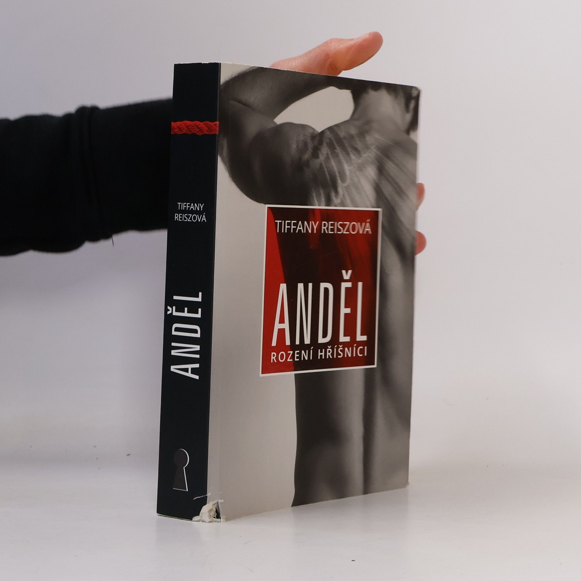 Tiffany Reisz Anděl
