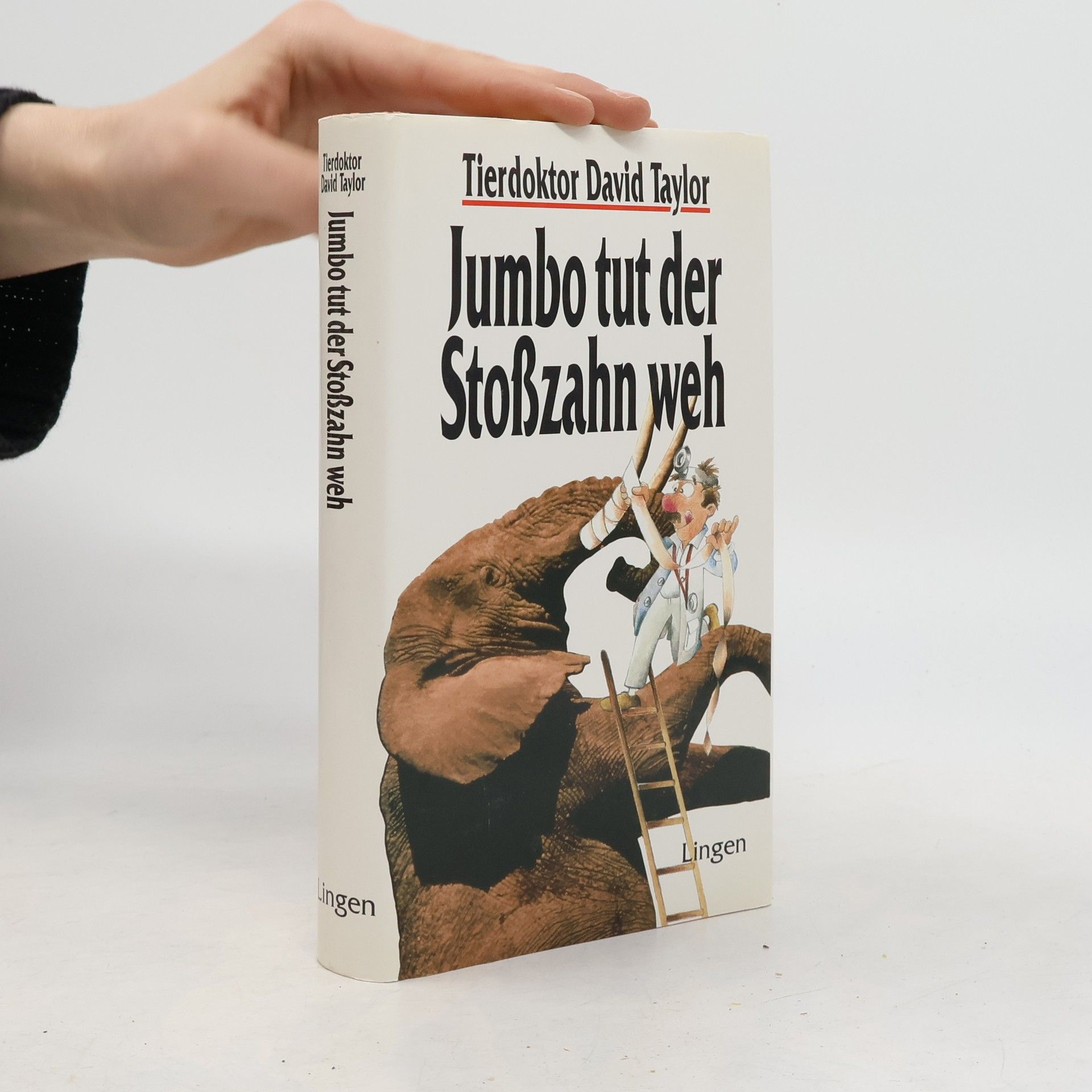 David Taylor Jumbo tut der Stoßzahn weh