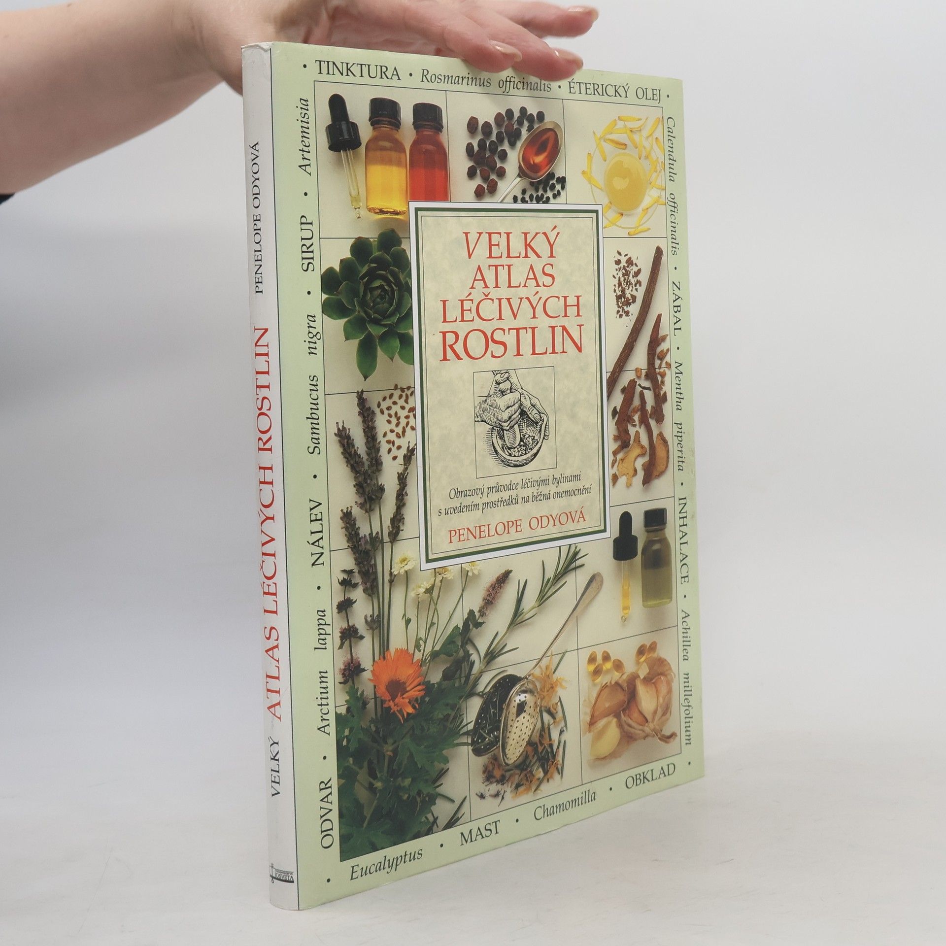 Penelope Ody Velký atlas léčivých rostlin