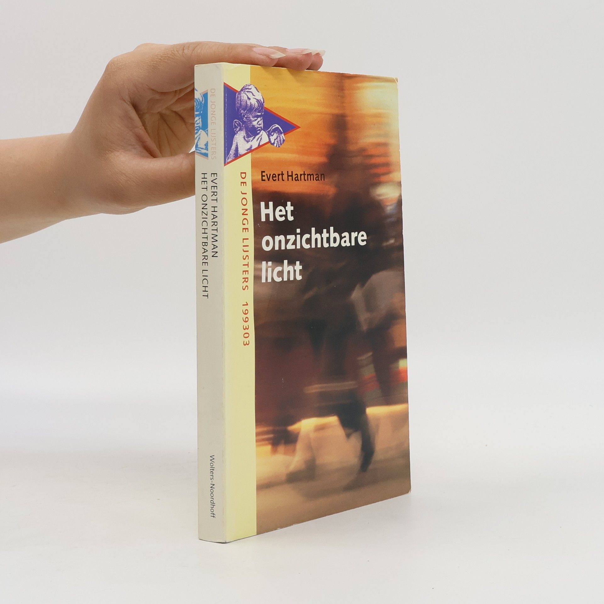 Wolters-Noordhoff Het onzichtbare licht