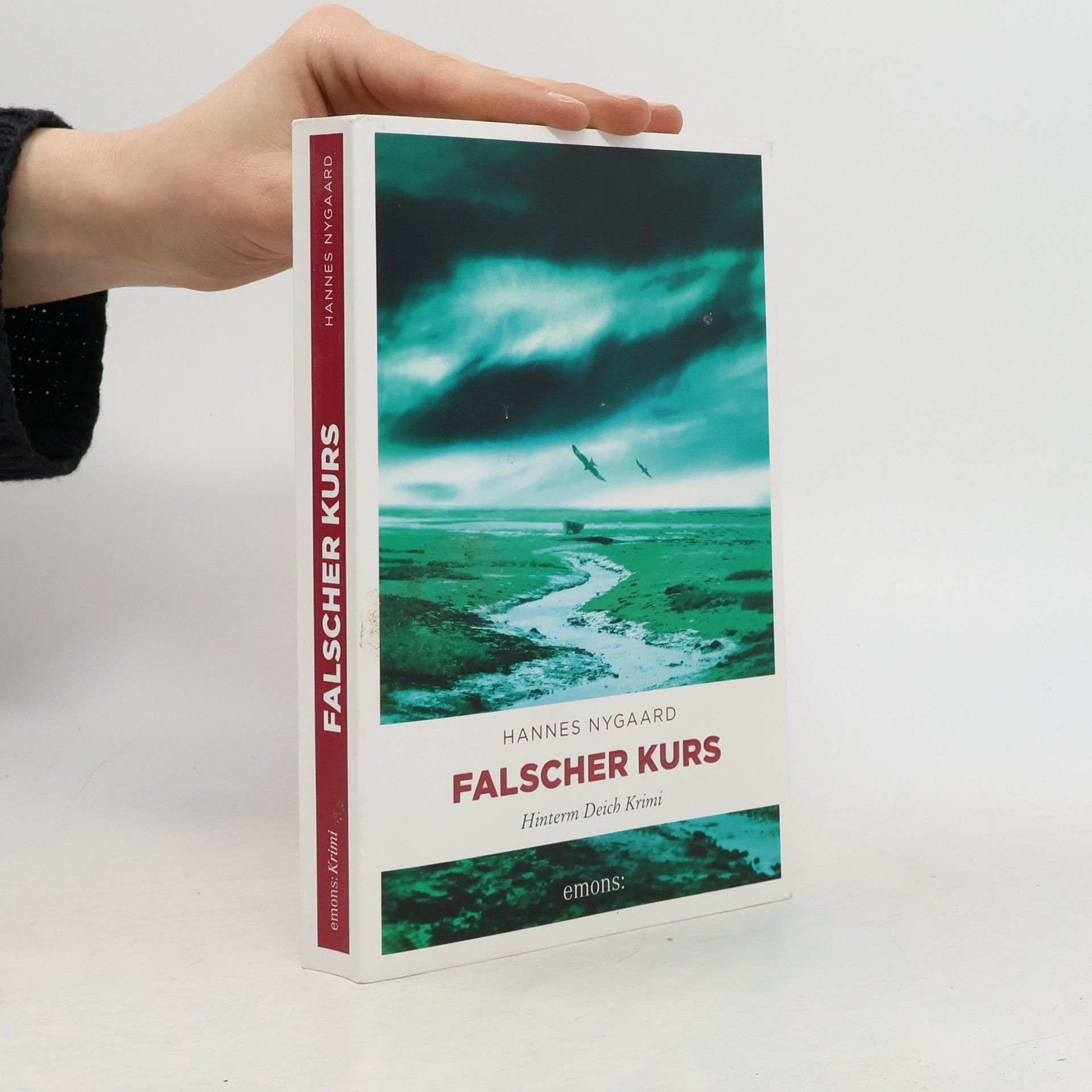 Hannes Nygaard Falscher Kurs