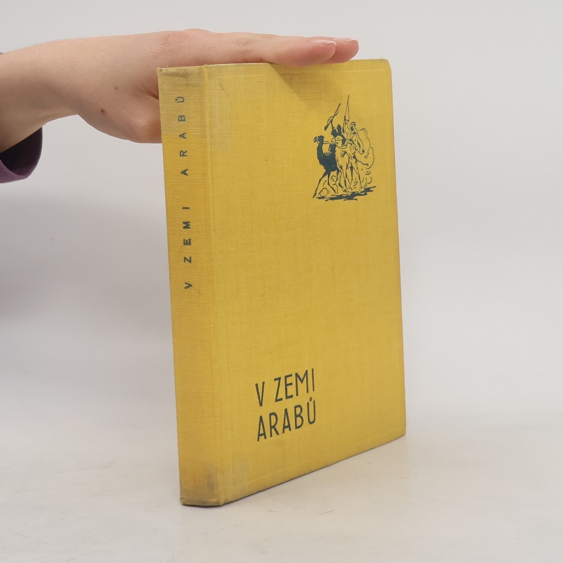 Robert Harding V zemi Arabů