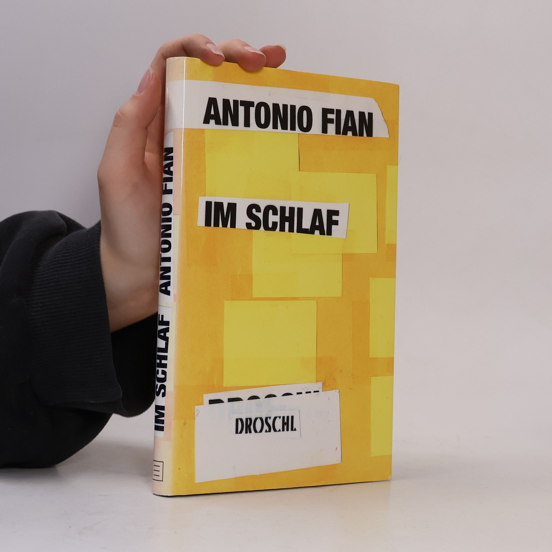 Antonio Fian Im Schlaf