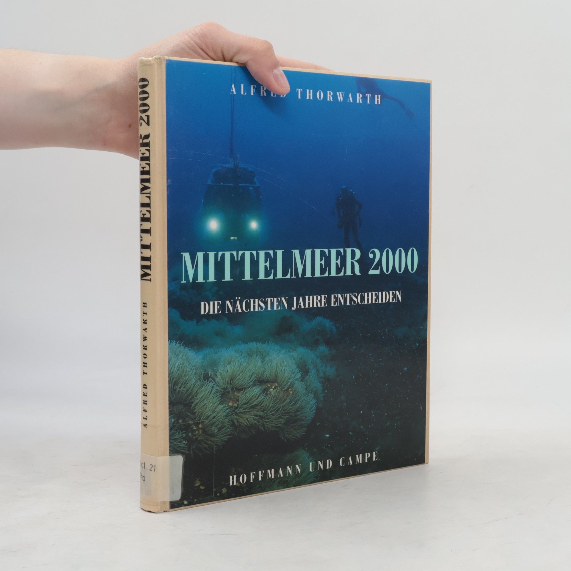 Alfred Thorwarth Mittelmeer 2000
