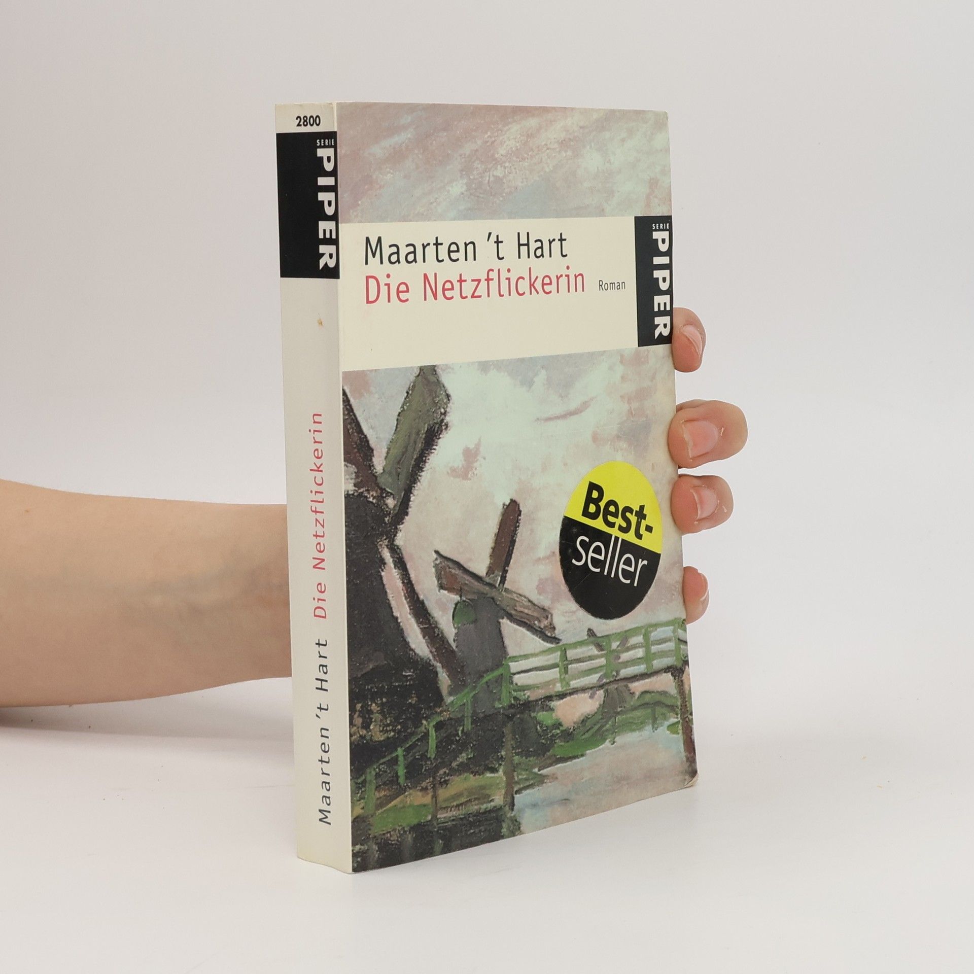 Maarten 't Hart Die Netzflickerin