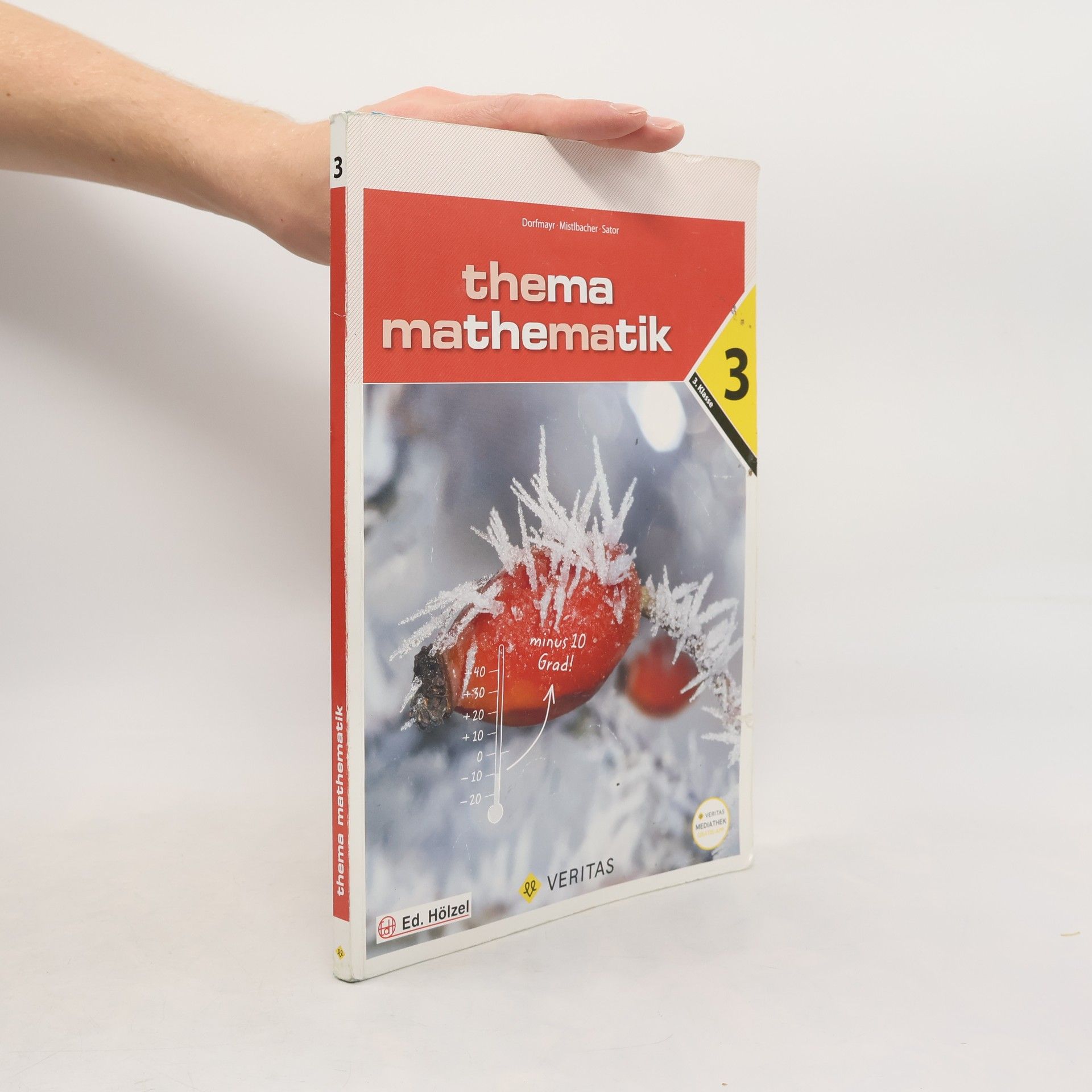 Various authors Thema Mathematik