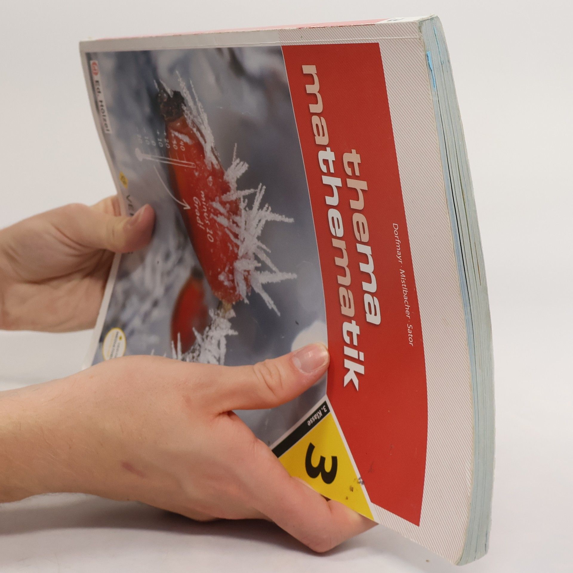 Various authors Thema Mathematik