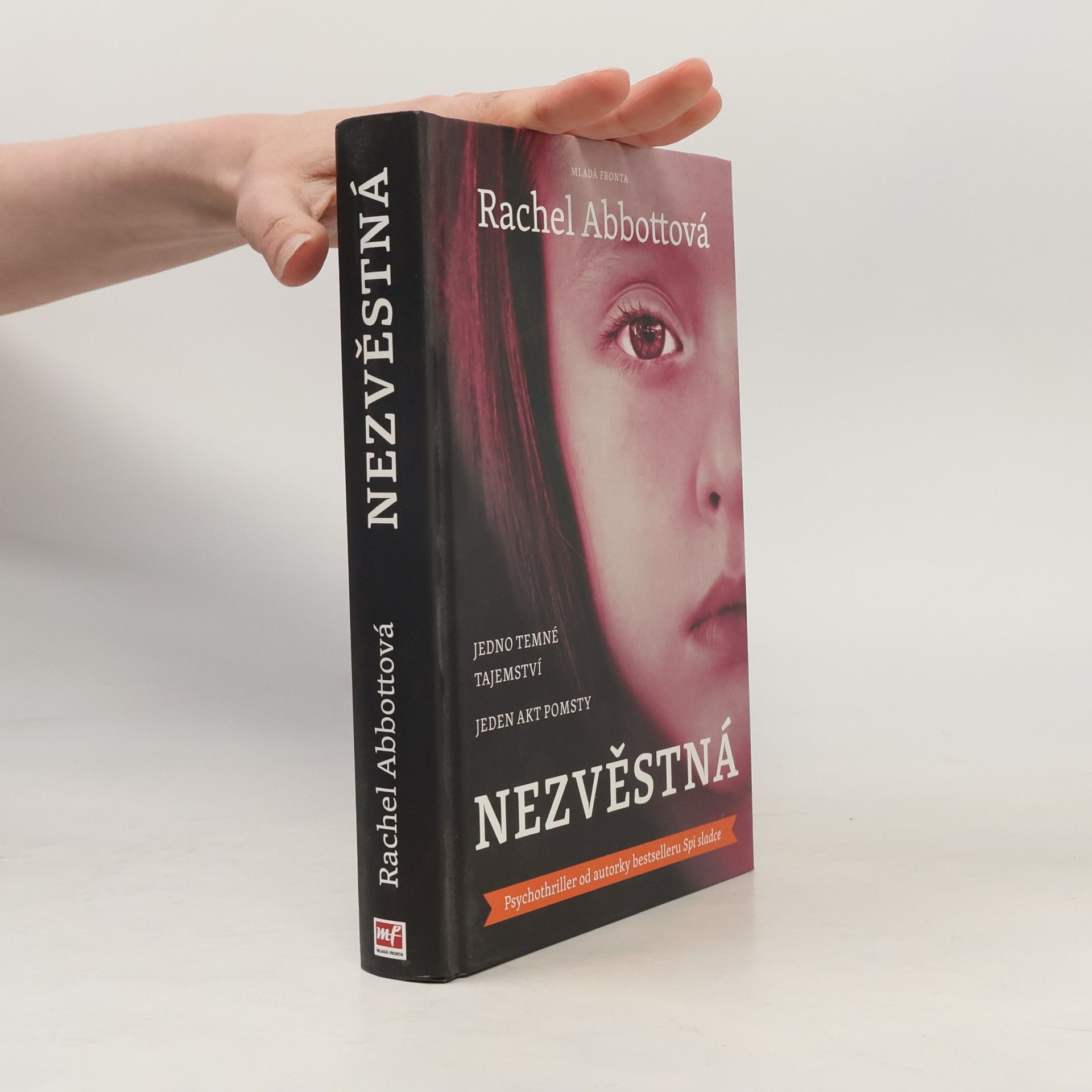 Rachel Abbott Nezvěstná