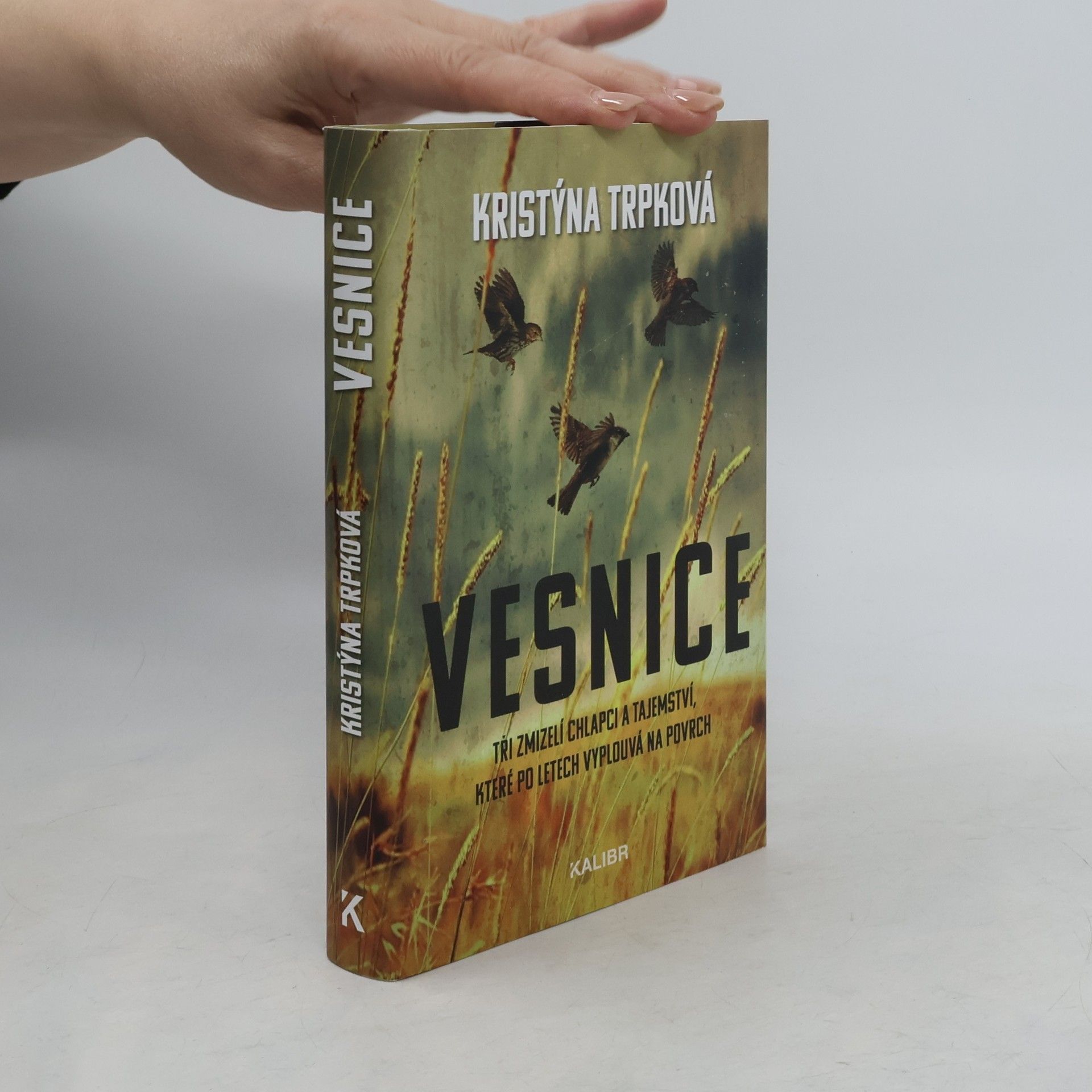 Kristýna Trpková Vesnice