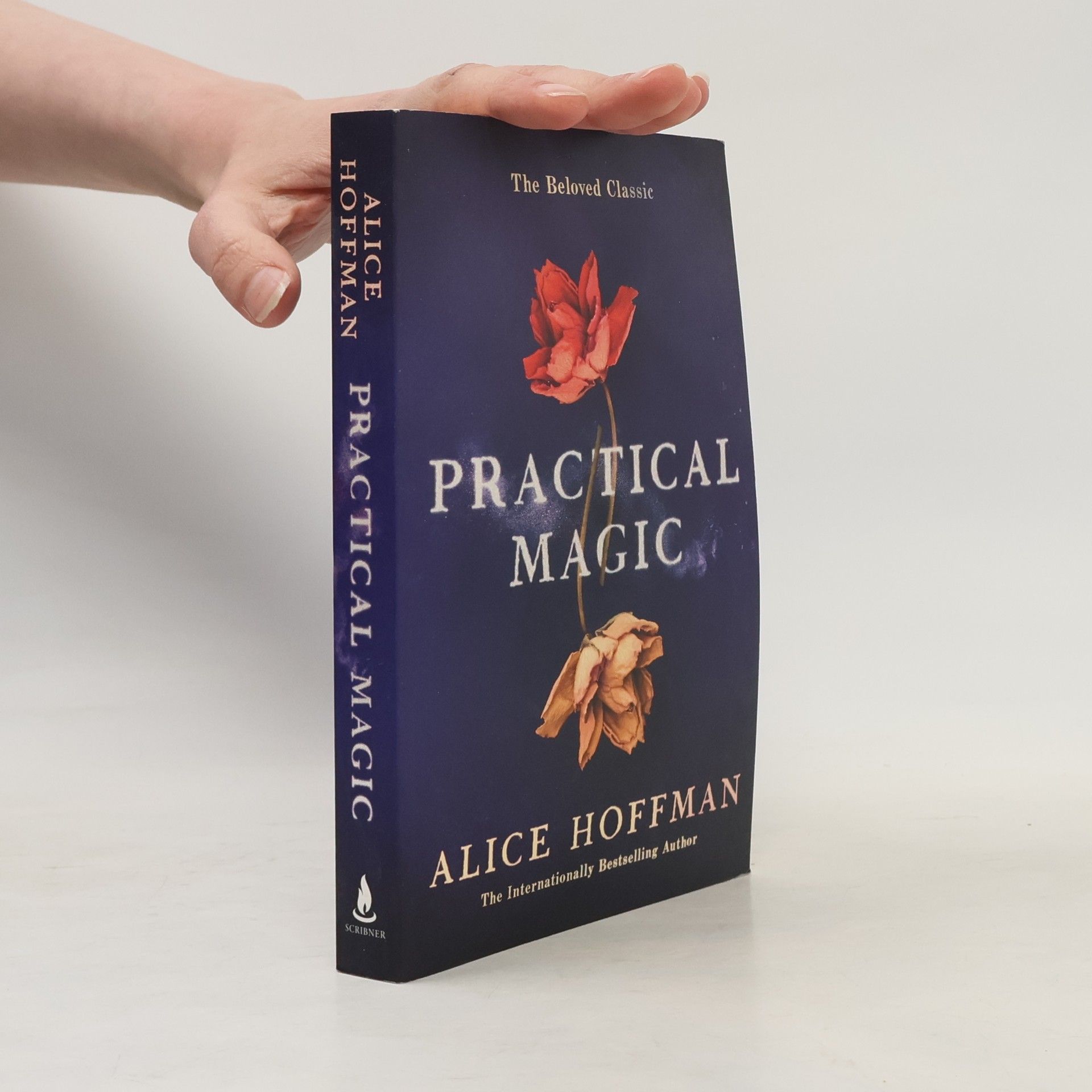 Alice Hoffman Practical Magic