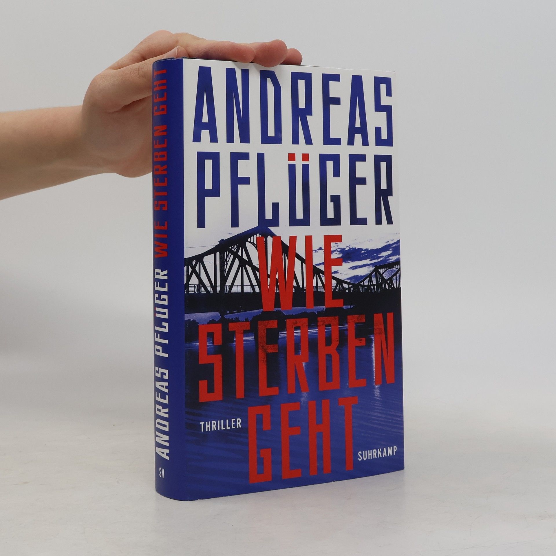 Andreas Pflüger Wie Sterben geht