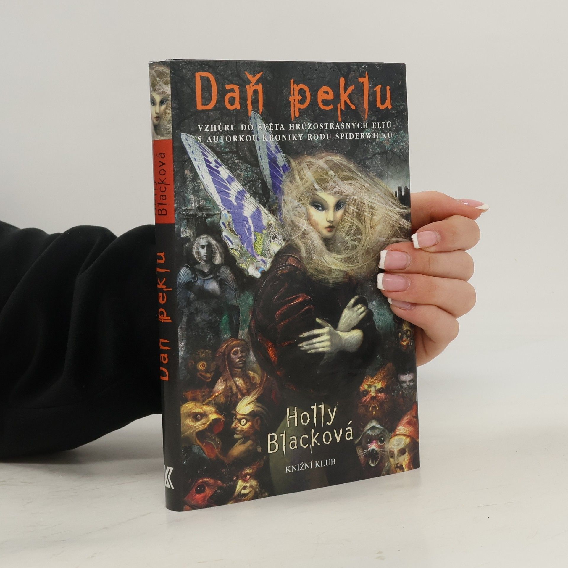 Holly Black Daň peklu