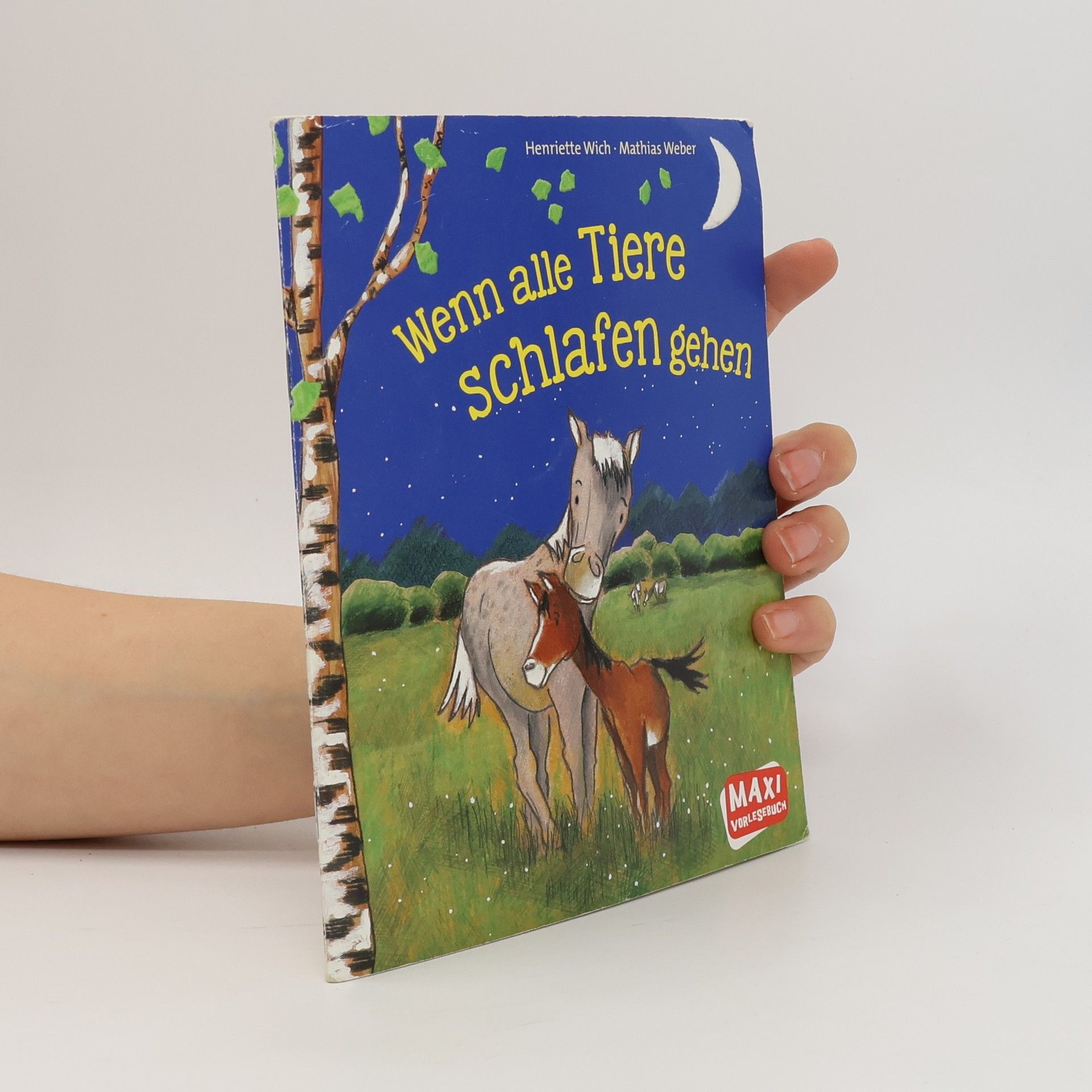 Henriette Wich Wenn alle Tiere schlafen gehen