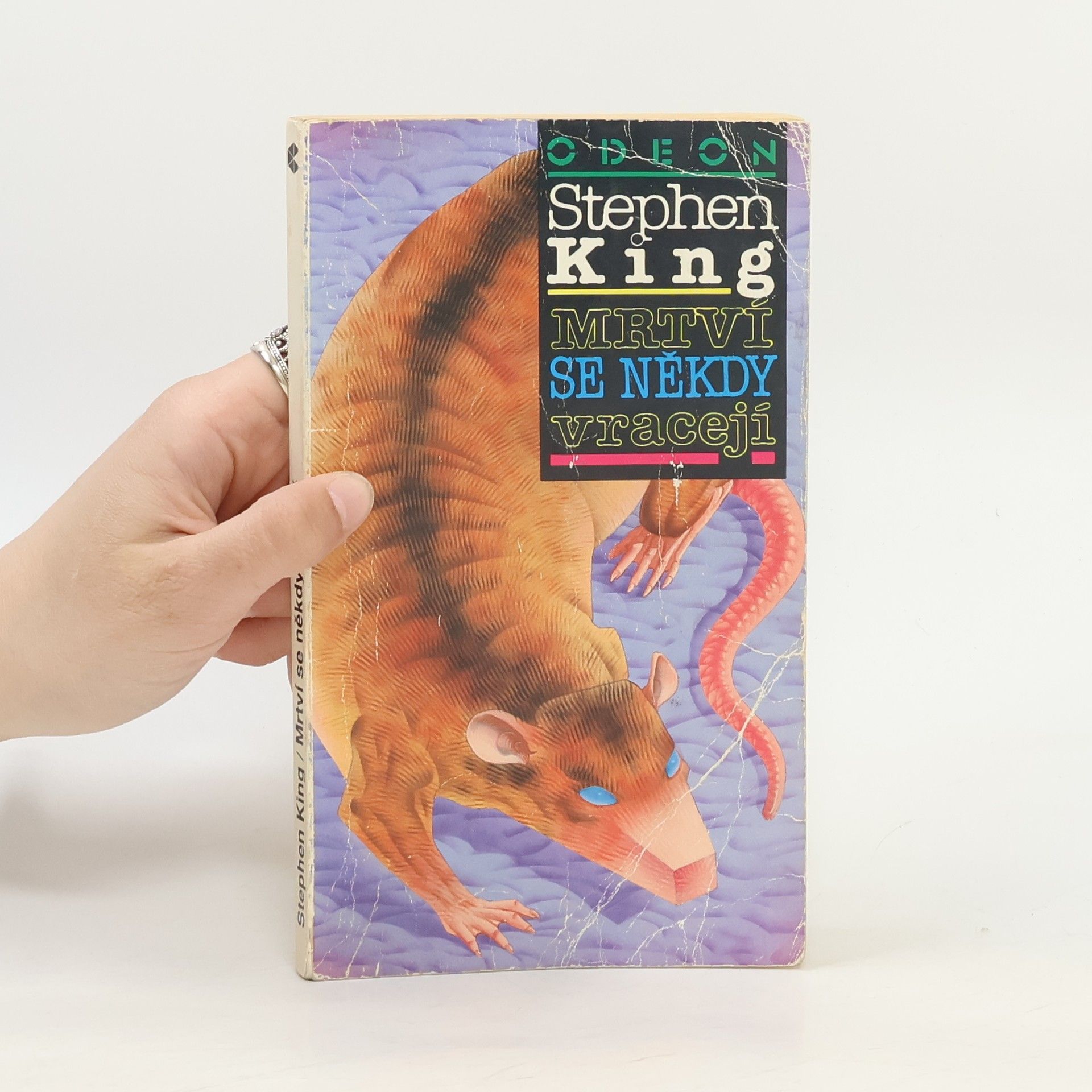 Stephen King Mrtví se někdy vracejí