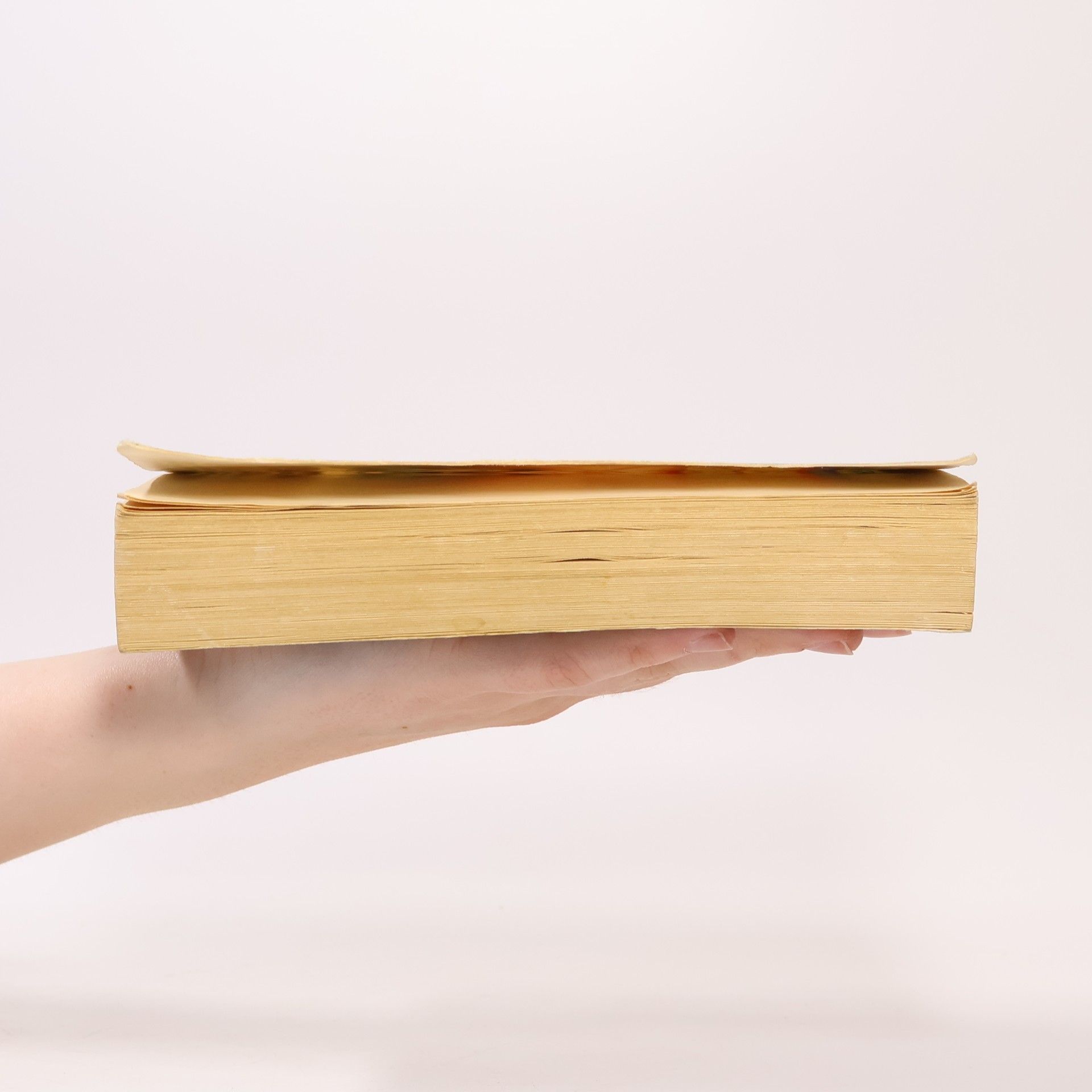 Raymond E. Feist Die Midkemia-Saga: Der Lehrling des Magiers